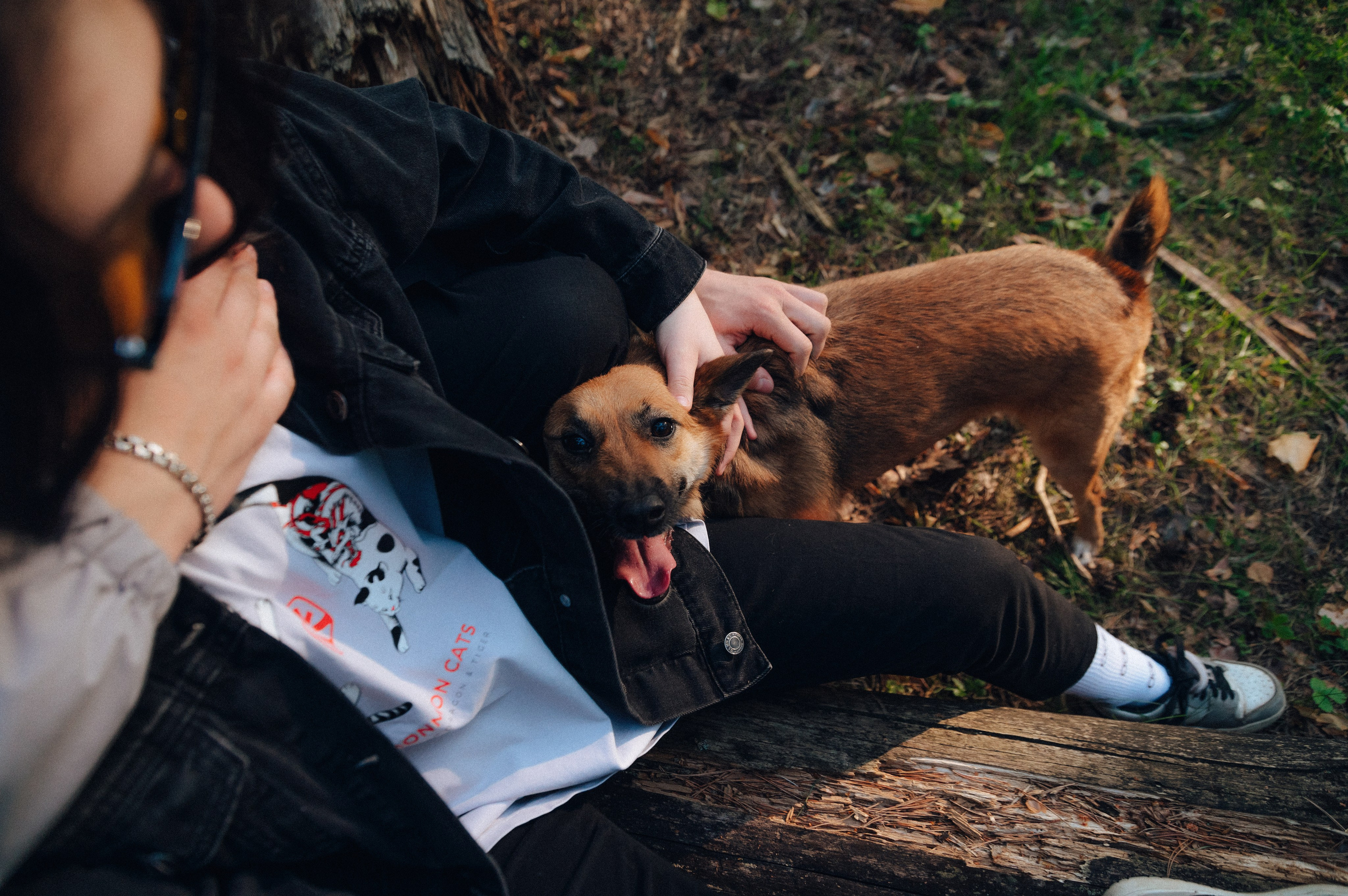 Влад и Алёна. Детский и семейный фотограф Катерина Мишина