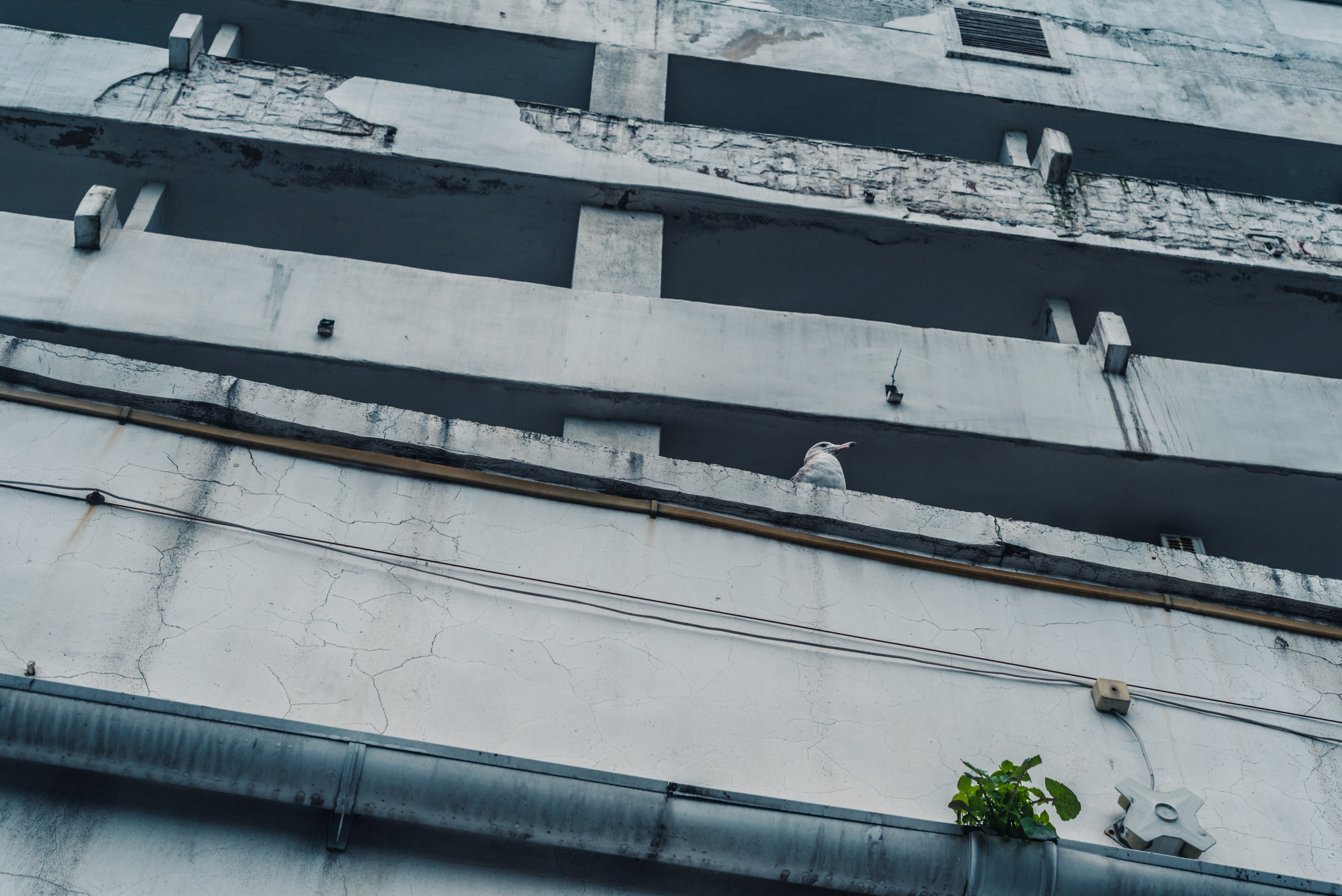 Путешествие рекламного фотографа из Гуанчжоу. Коммерческий и предметный фотограф в Гуанчжоу Коваленко Александр