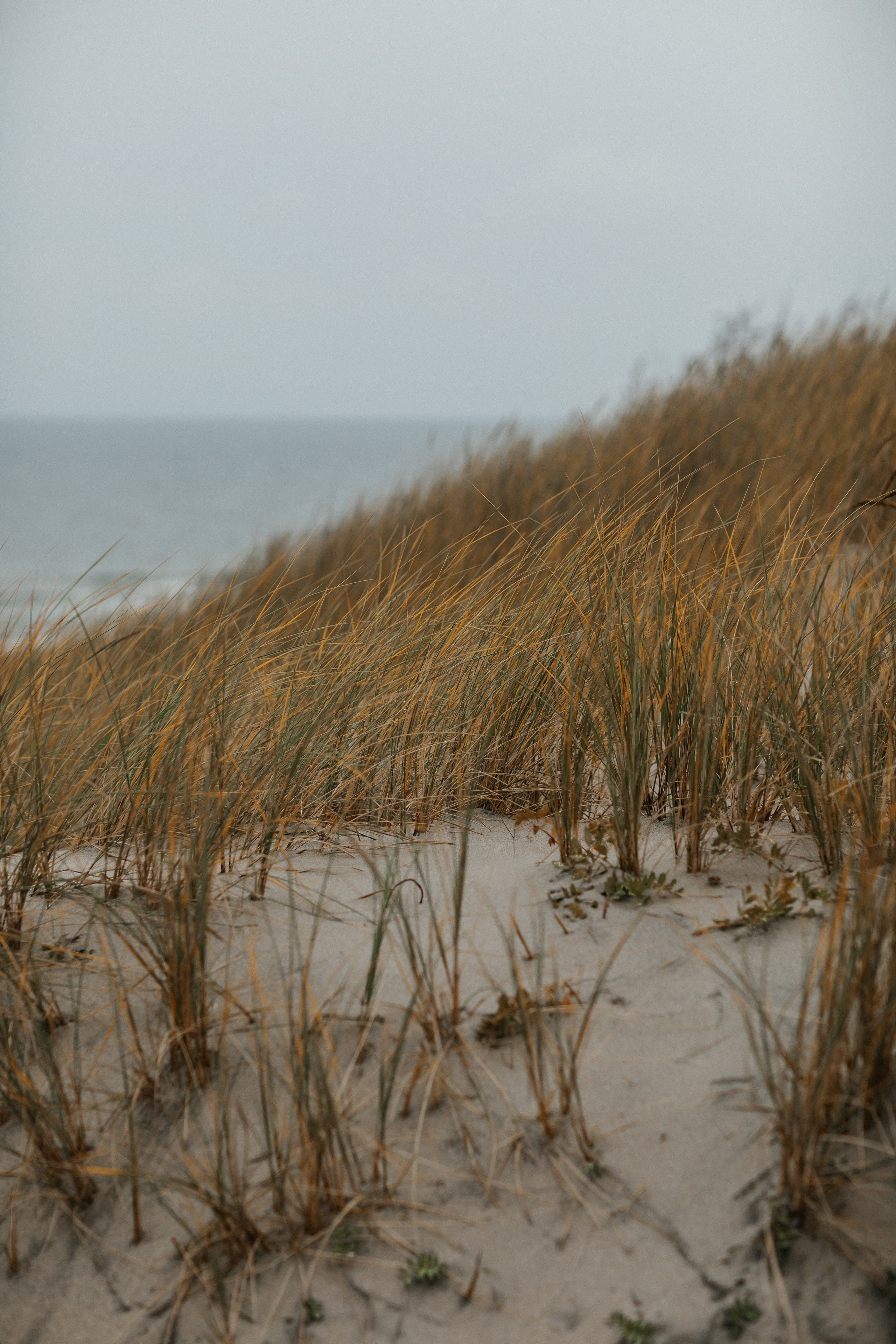 Балтийск/Калининград. Свадебный и семейный фотограф/видеограф в Краснодаре Наталья Осинская