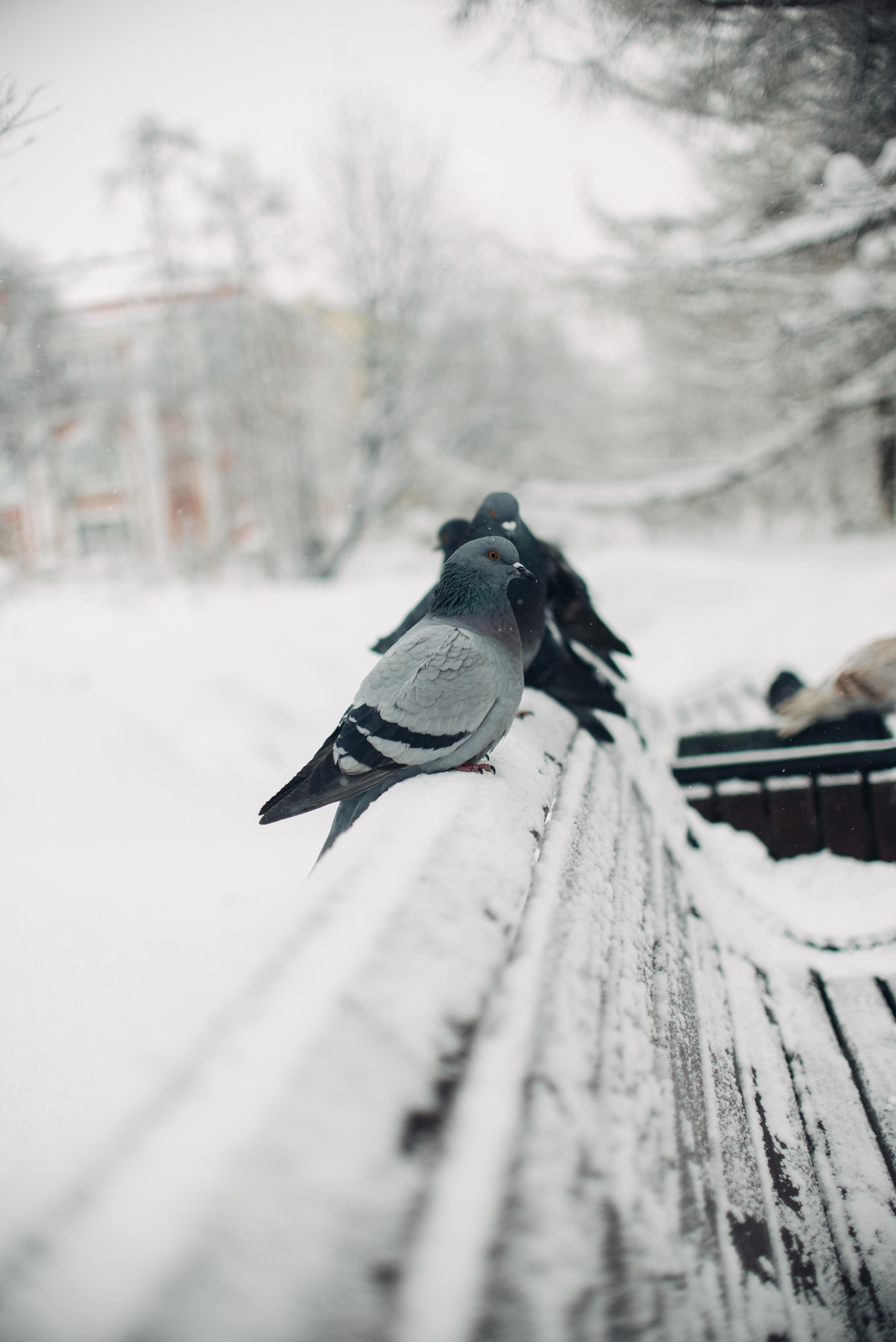 Мурманск, Териберка. Главная