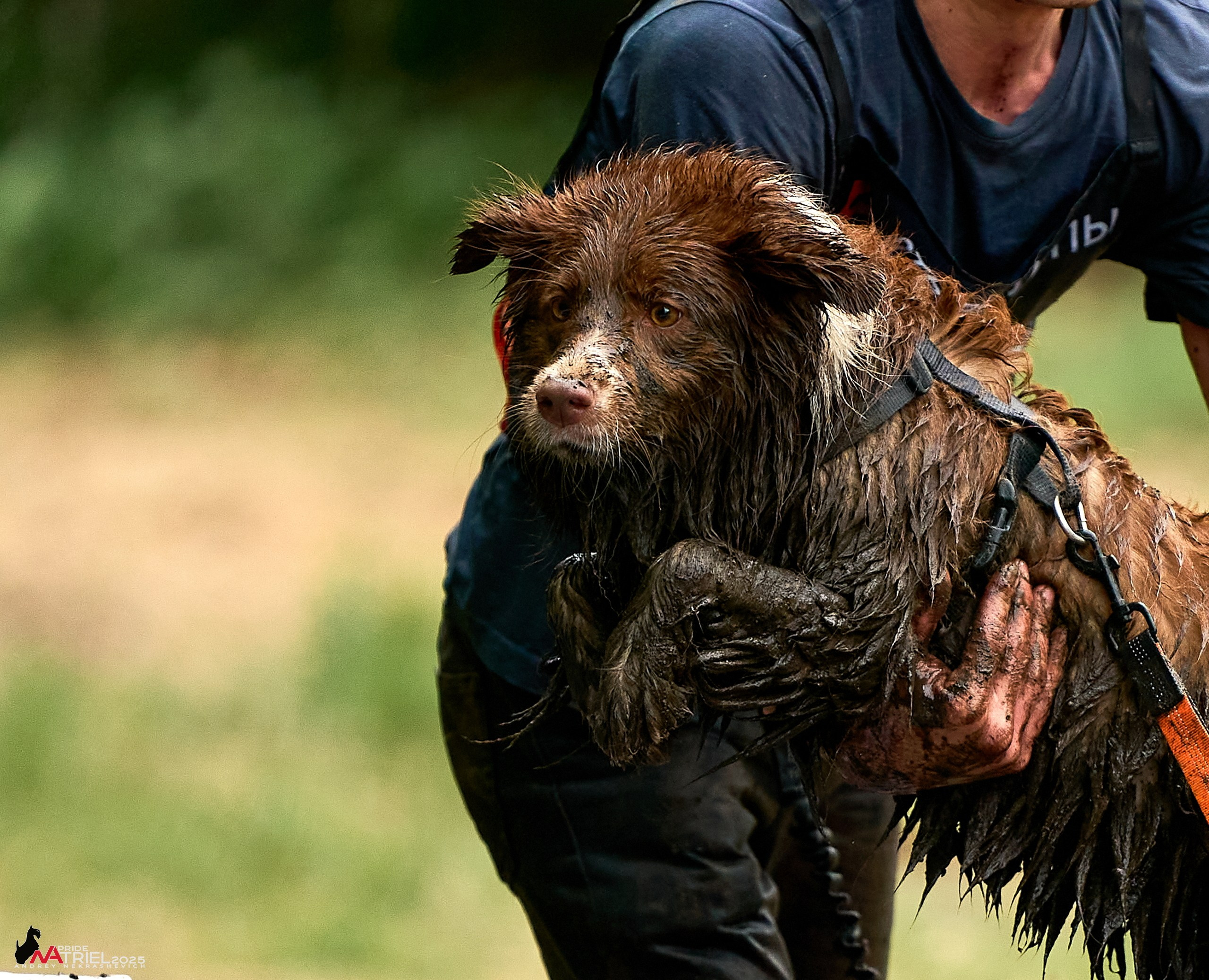 Russian Extreme Dog Trail — 2025