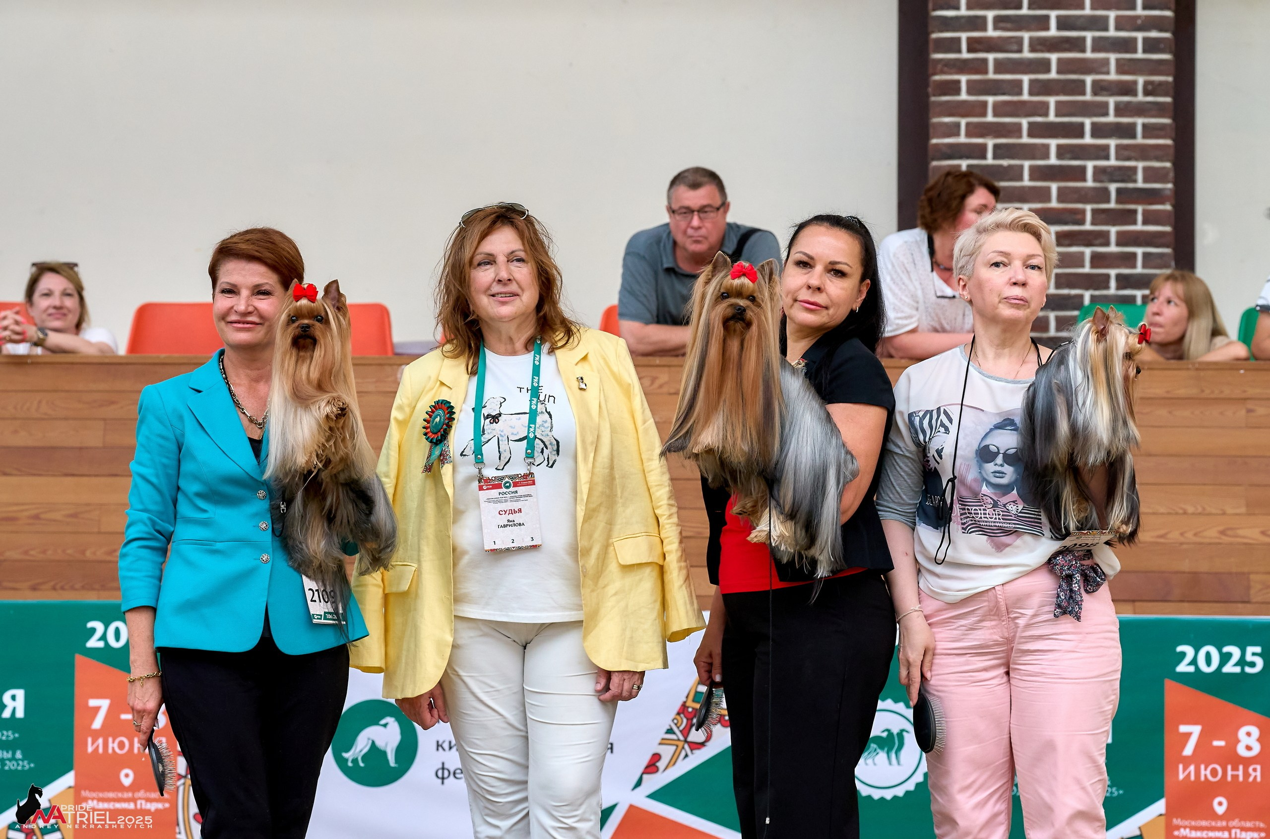 Выставка собак РОССИЯ — 2025