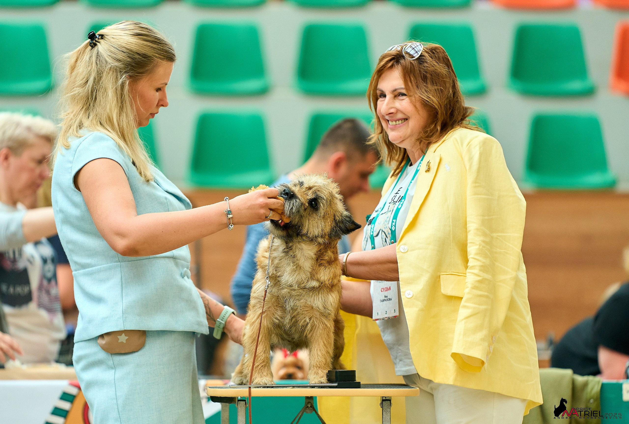 Выставка собак РОССИЯ — 2025