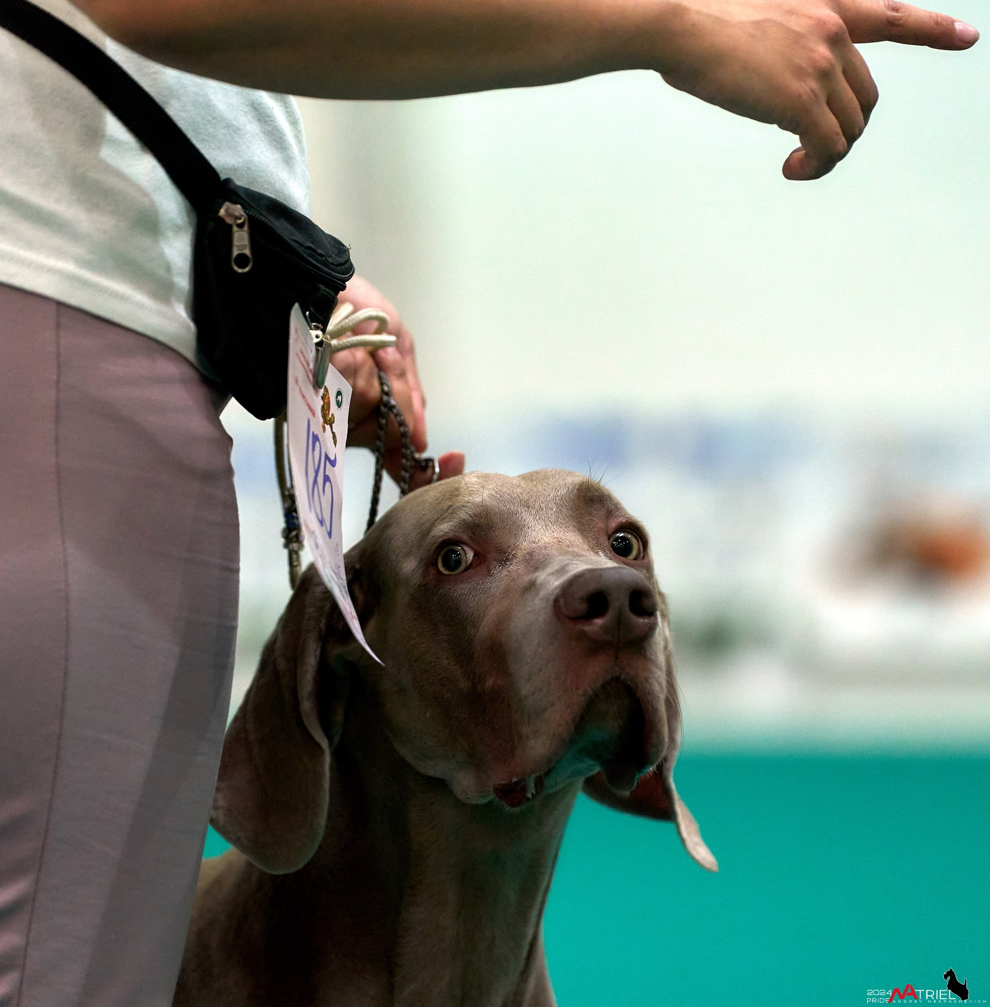 Съемка на выставке в Крокус