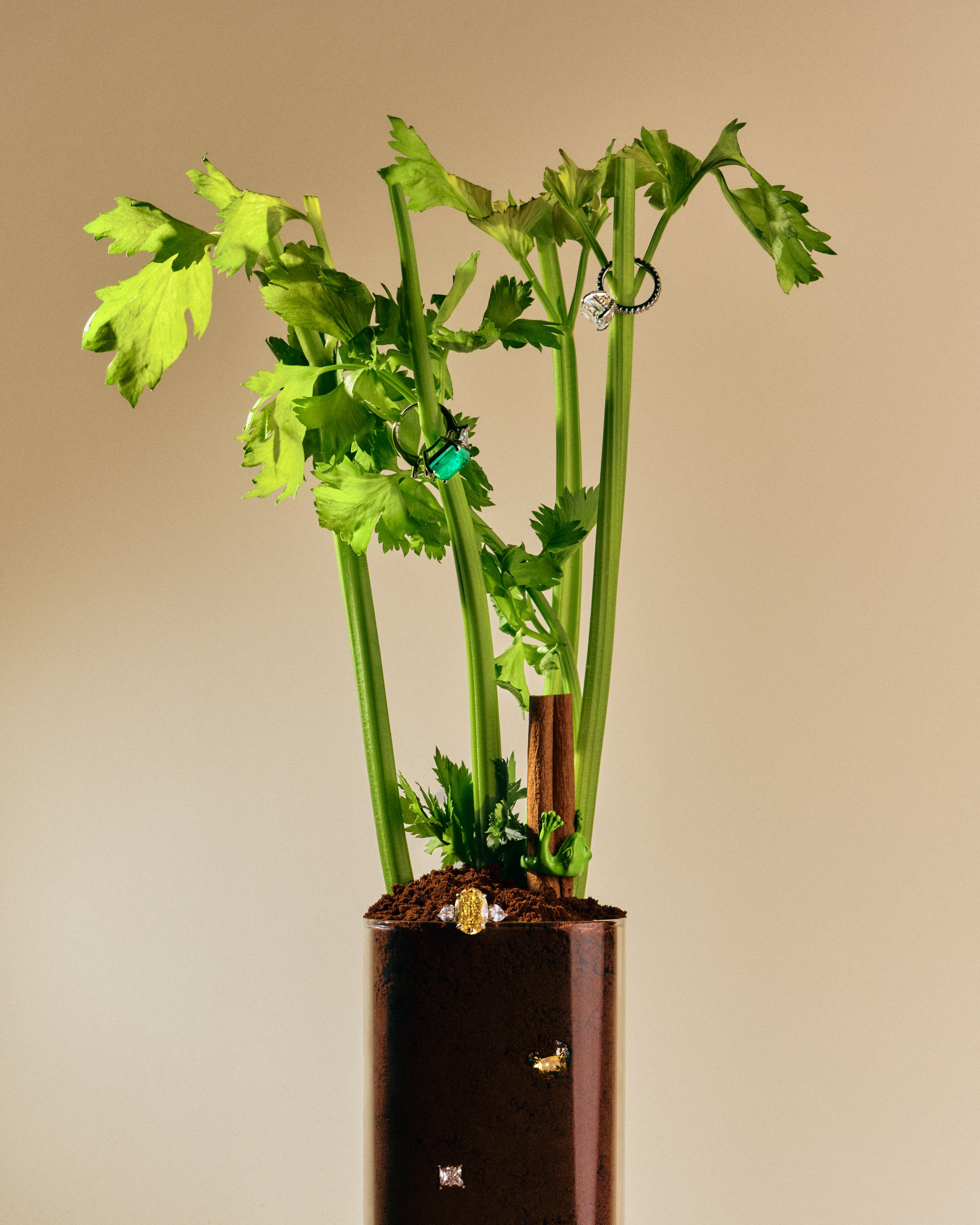 Jewelry. Retouching service