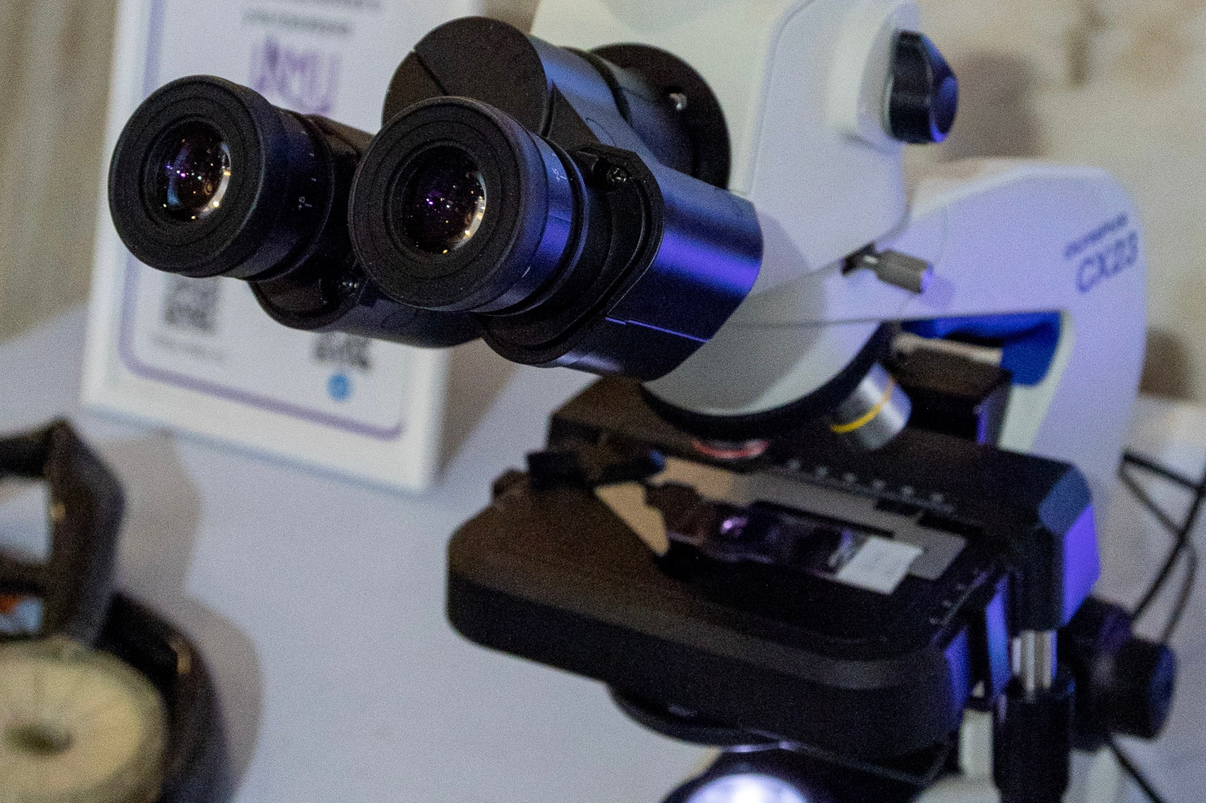 Фестиваль «Наука 0+». Фотосессии и репортаж — Фотограф в Москве — Рина Серёгина