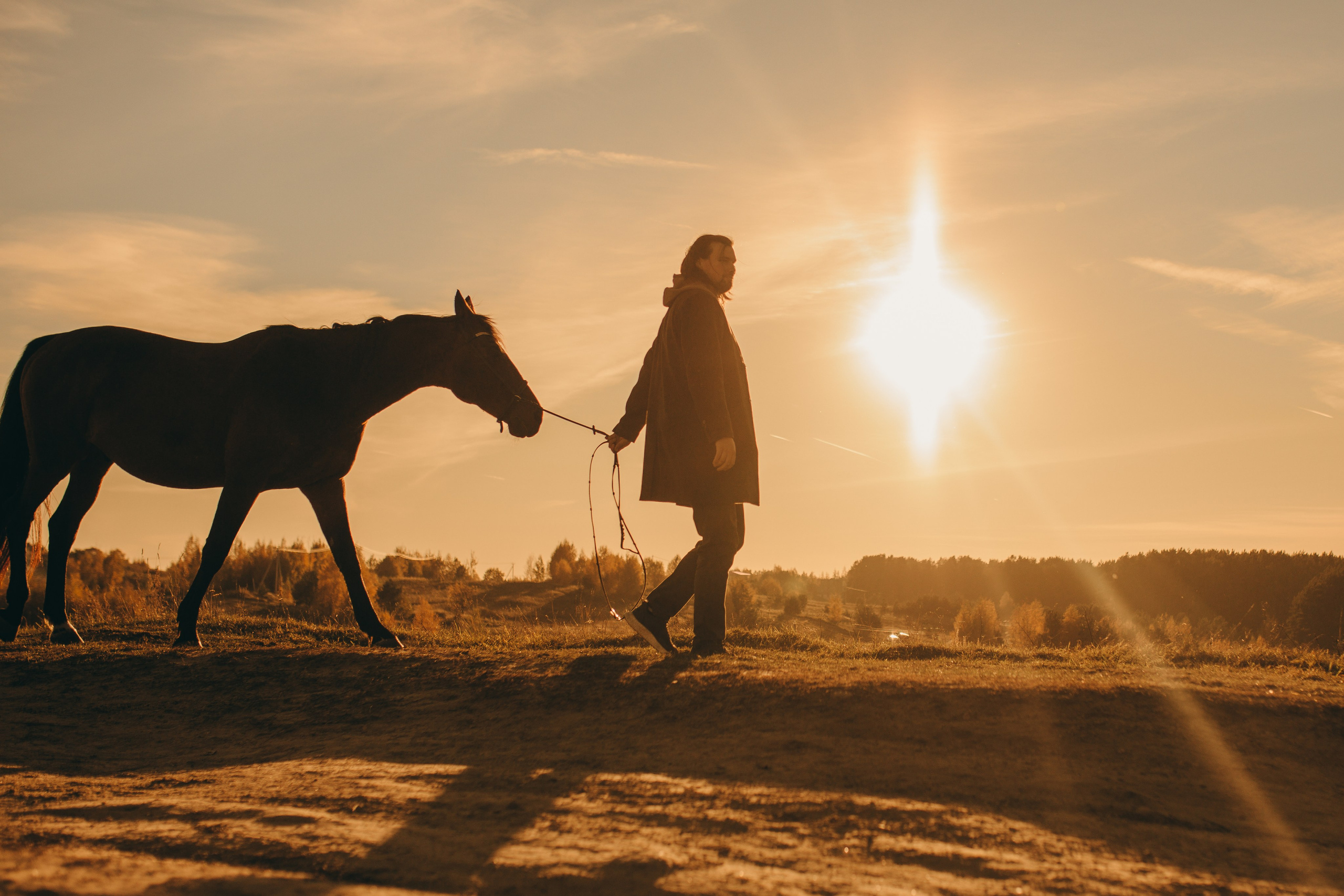 Наши пушистые дети. Главная