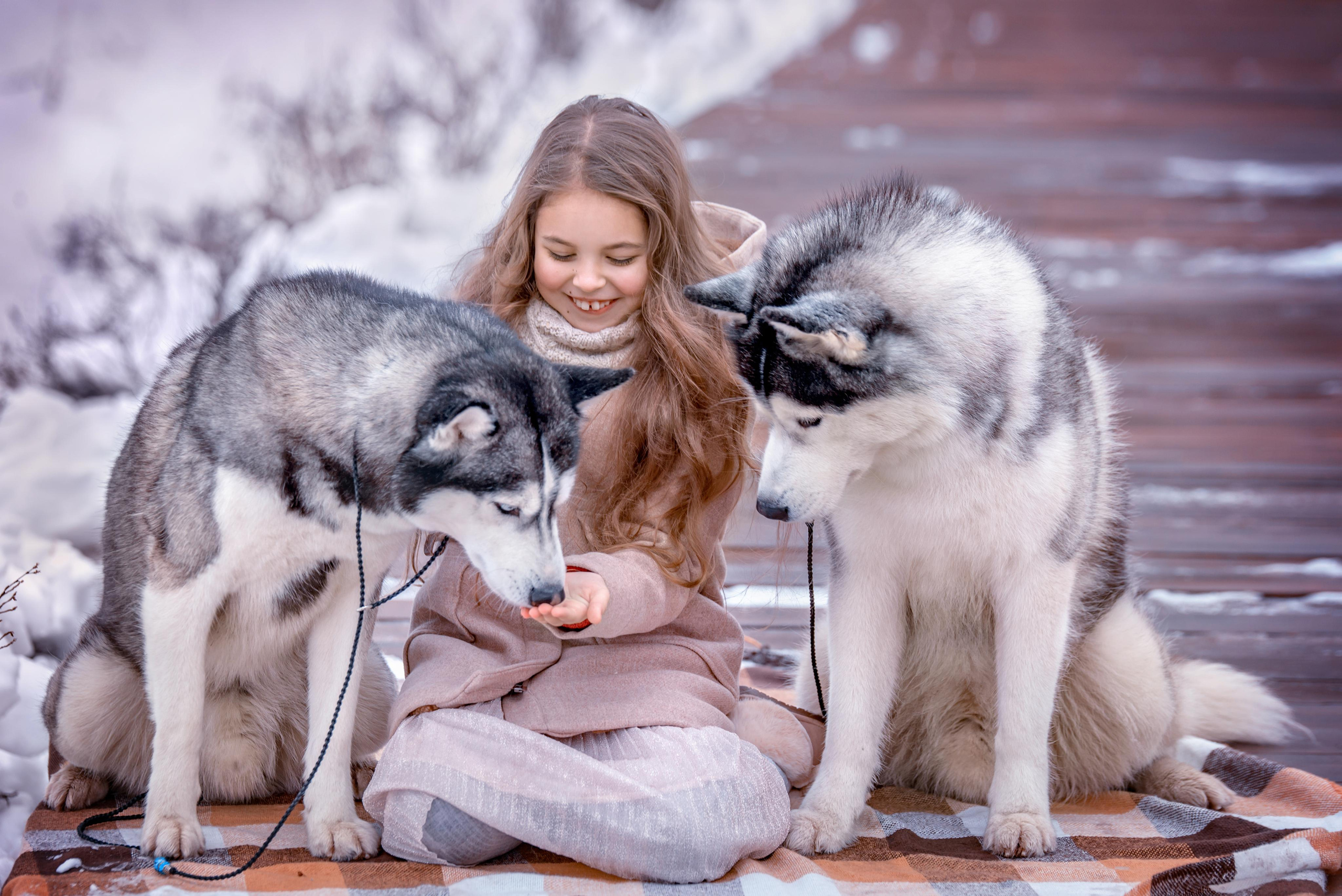 фотосессия с хаски в Москве