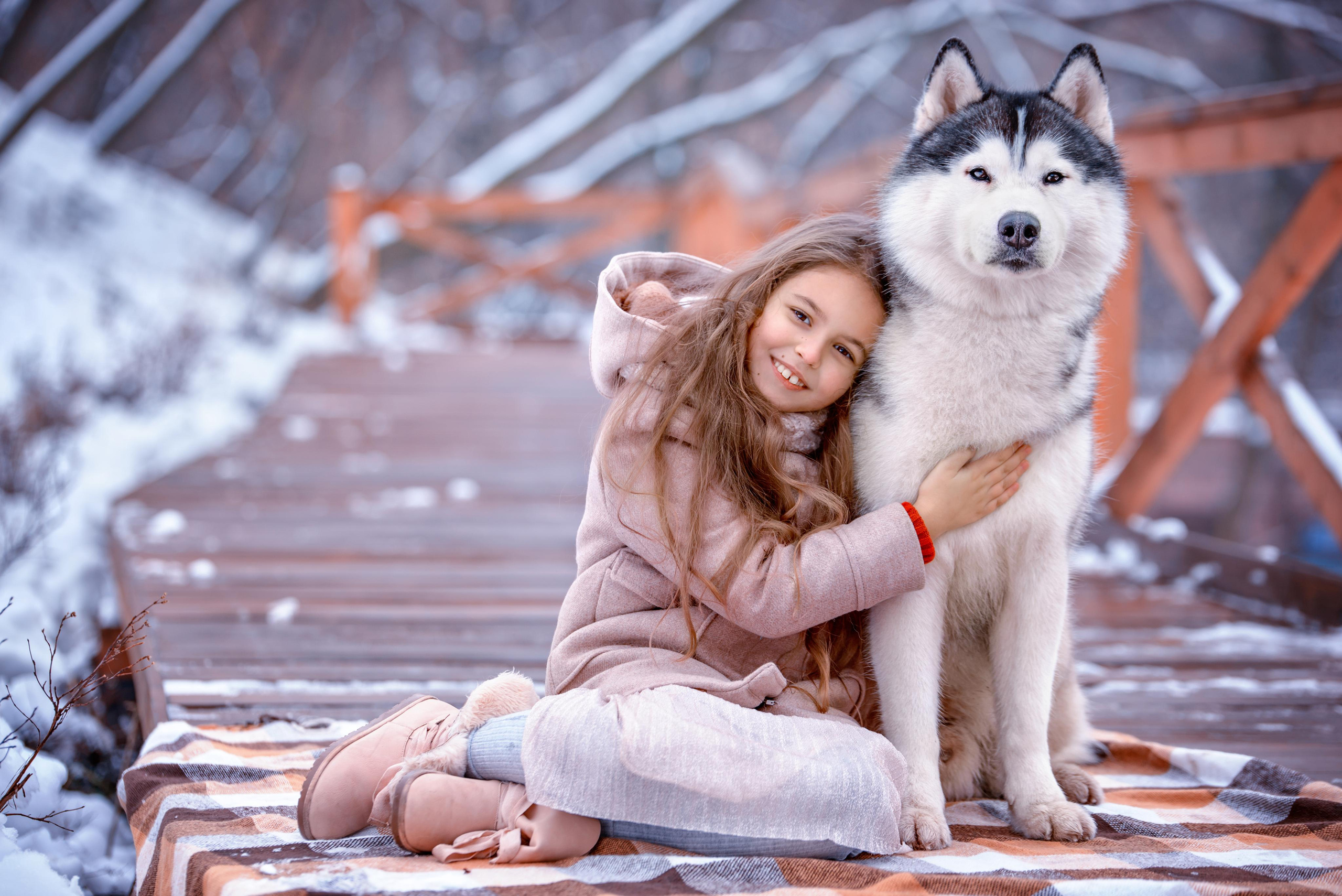 Девочка с собакой хаски