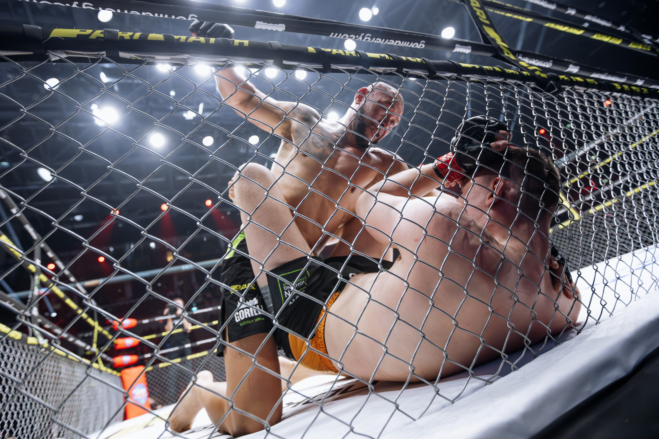 Канадский Степан