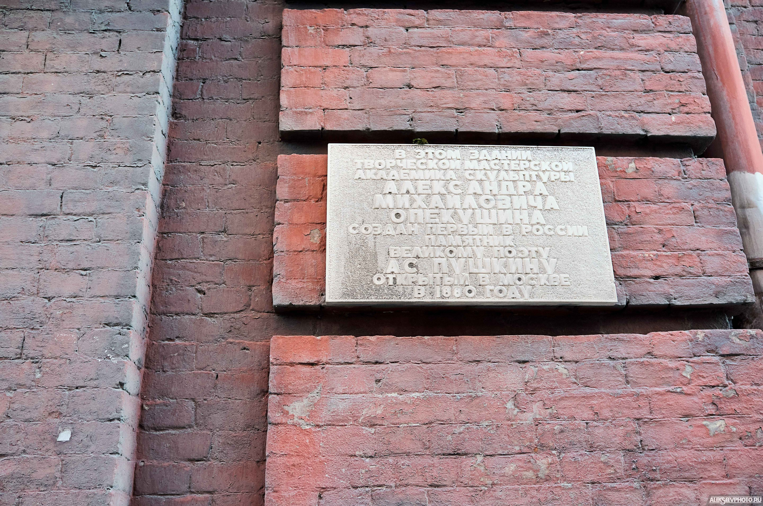 2021.03. Фотограф Алексей Алексеев