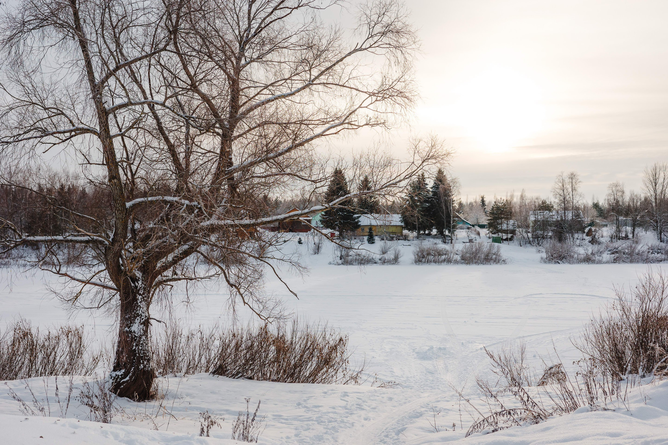 2024.01. Фотограф Алексей Алексеев