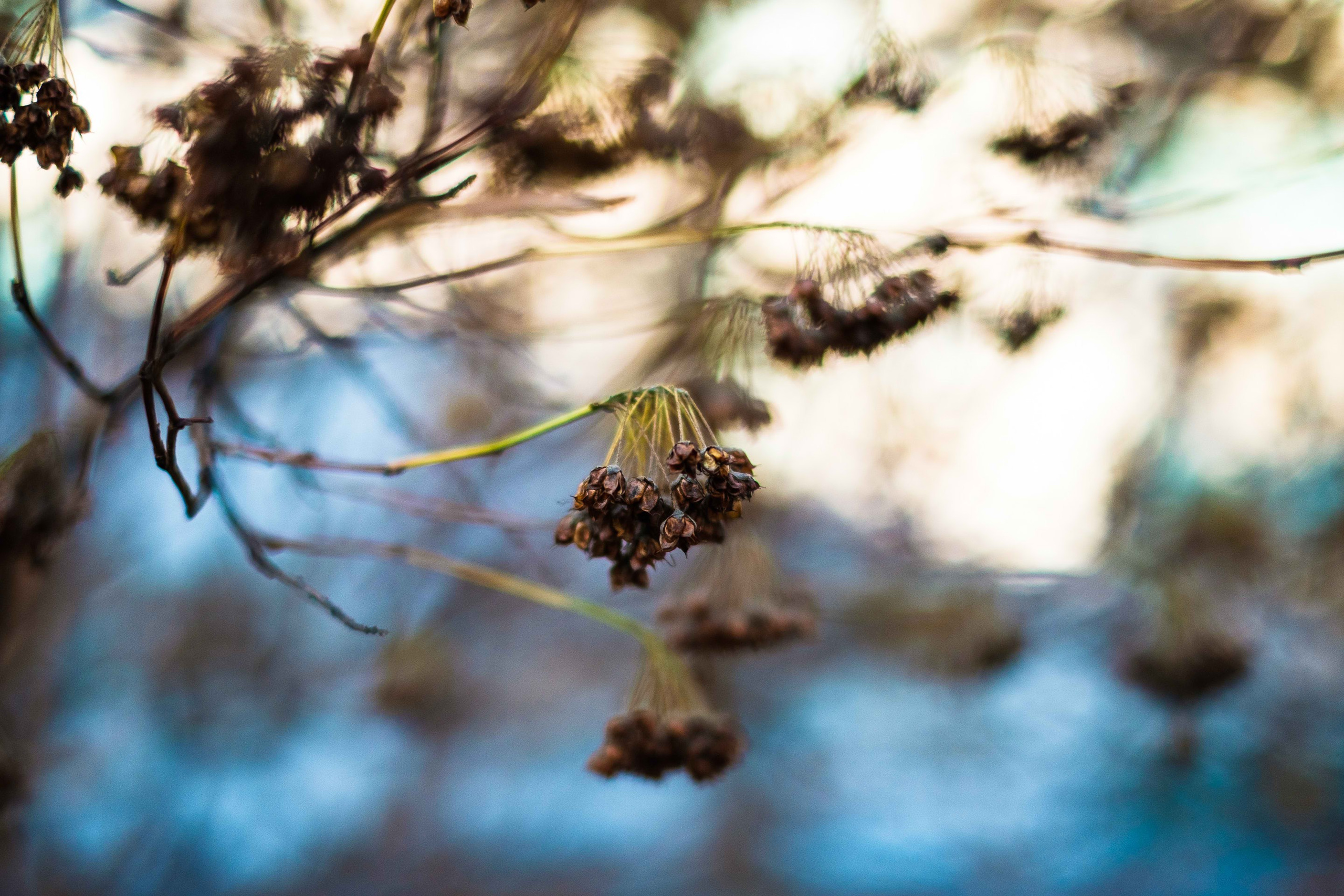 2021.11. Фотограф Алексей Алексеев