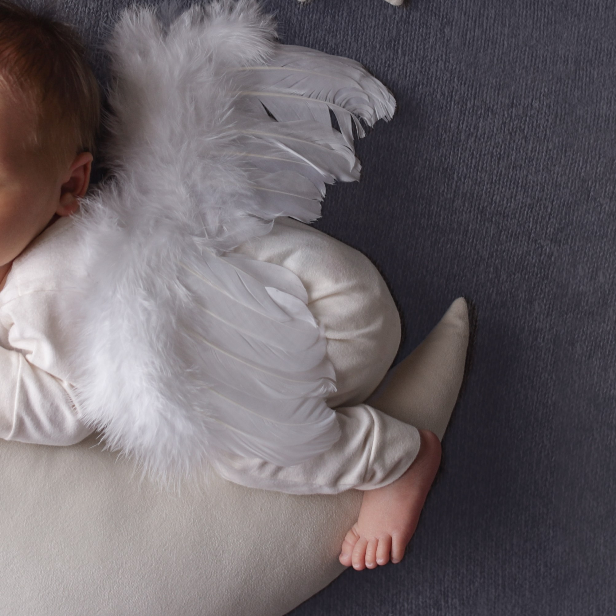 Отзывы довольных клиентов. Семейный фотограф и новорожденных в Старом Осколе Анна Старкова,