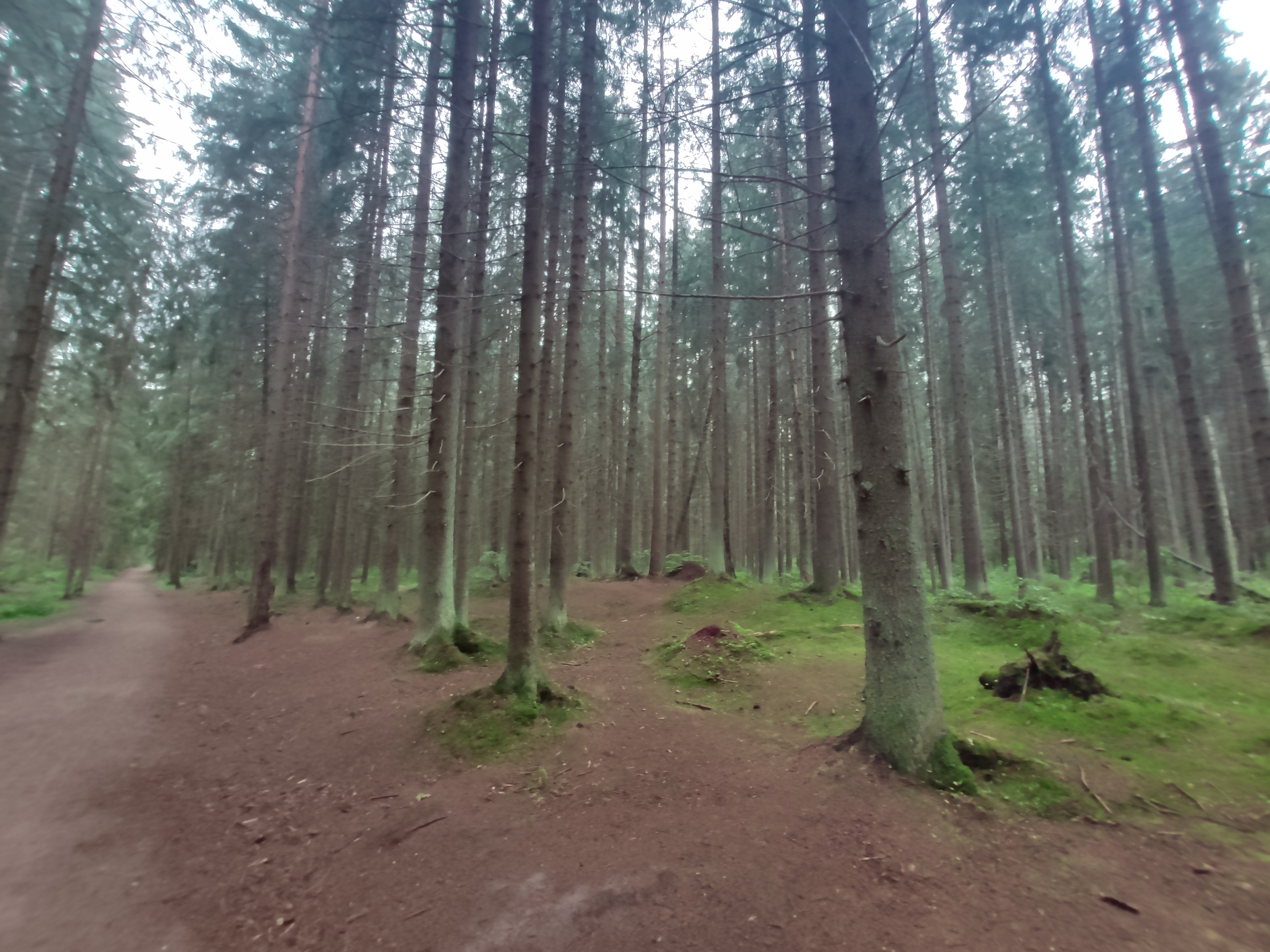 Пустынно, туманно, тихо и красиво