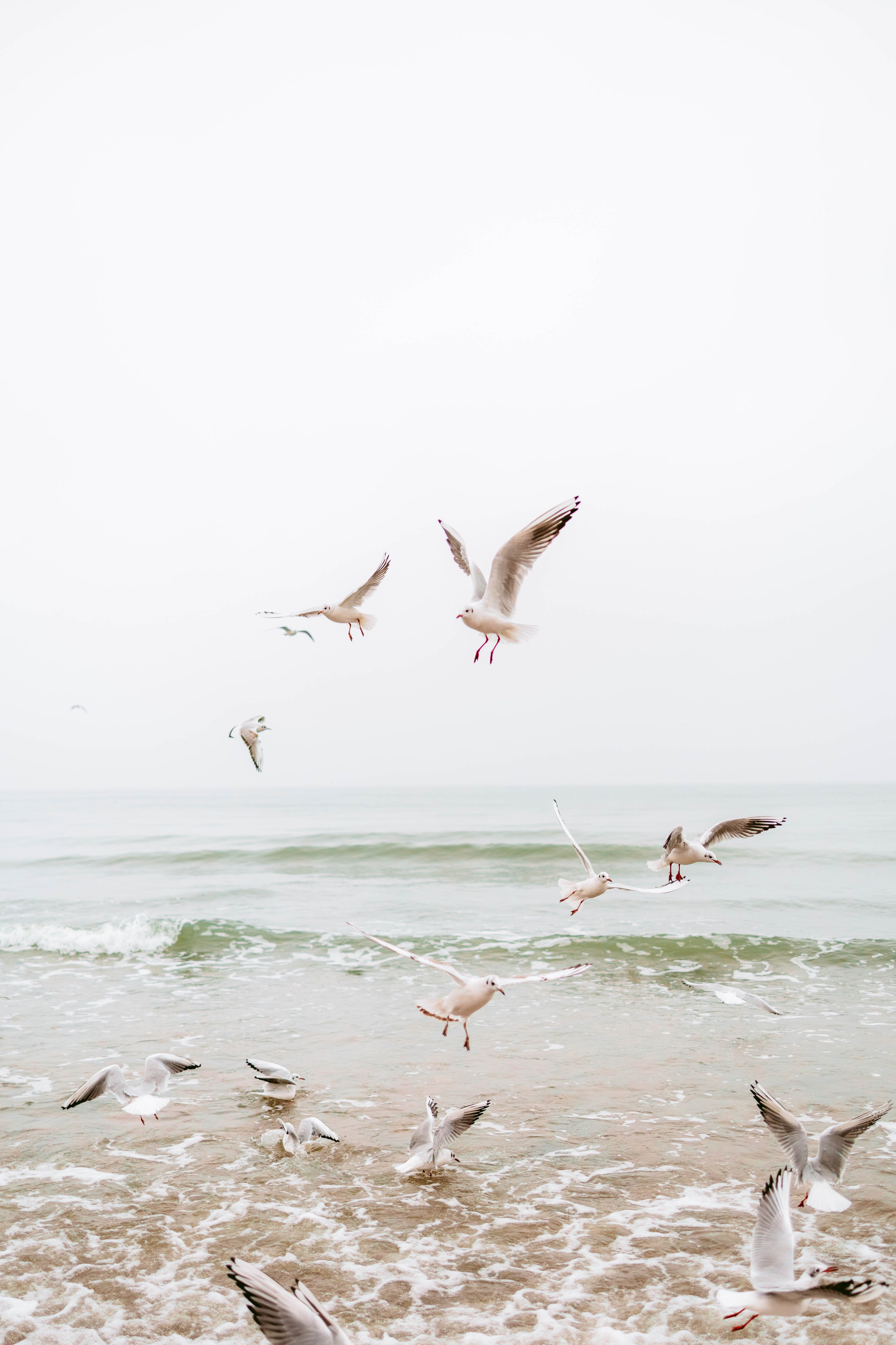 На берегу моря…. Семейный фотограф Москва Калининград СПб