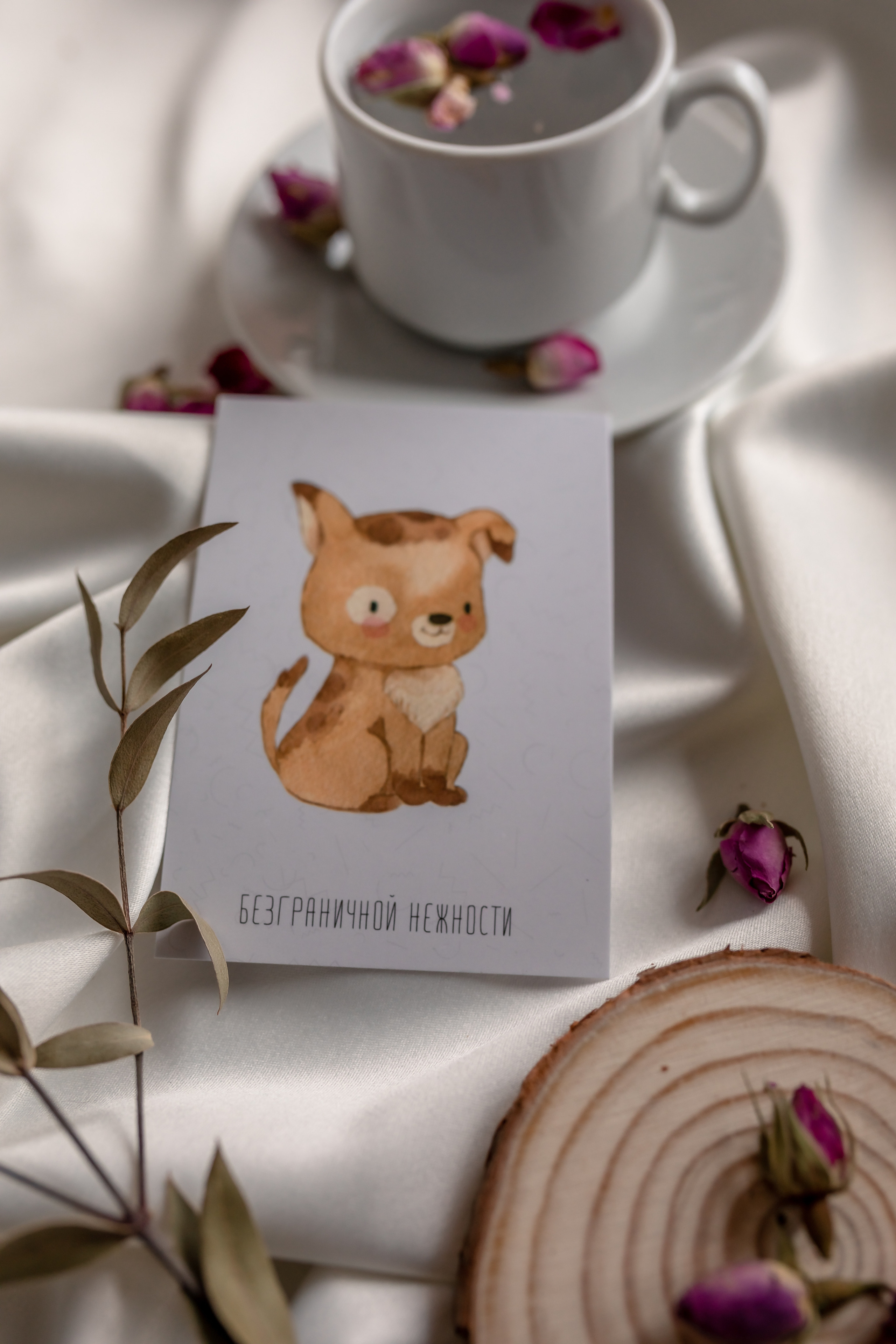 Бизнес-съёмки. Семейный портретный фотограф Рита Одинокова