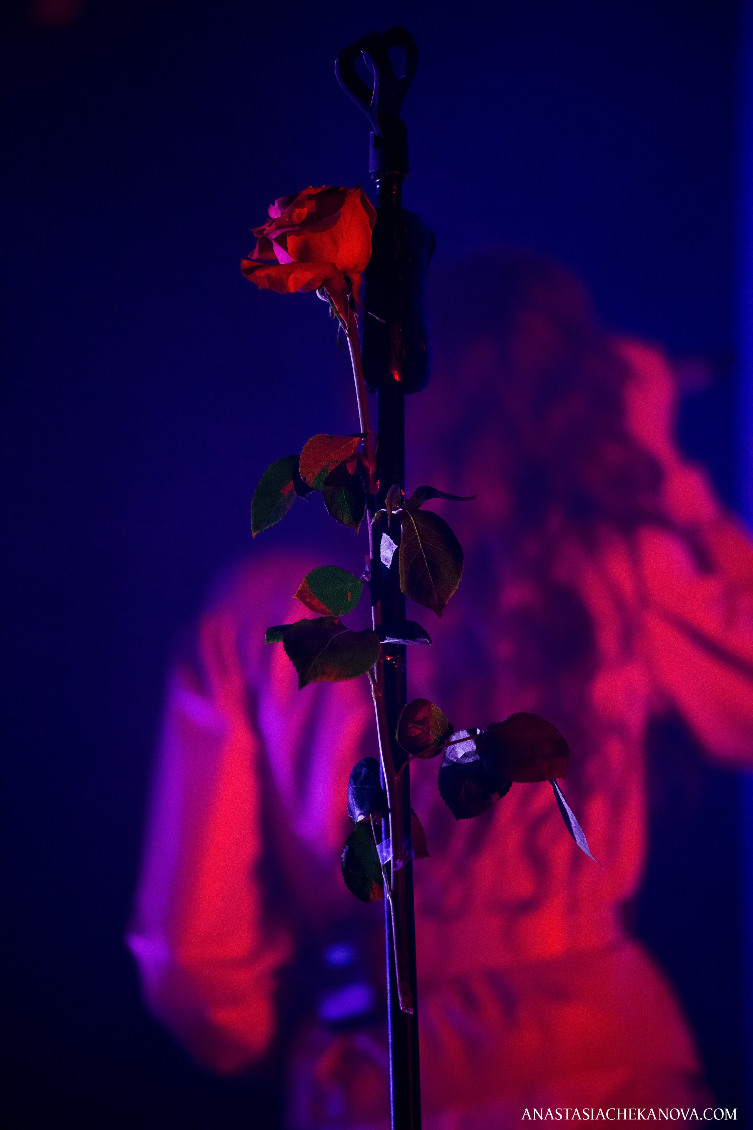 Luna. 05.04.18. Концертный и бурлеск фотограф Москва