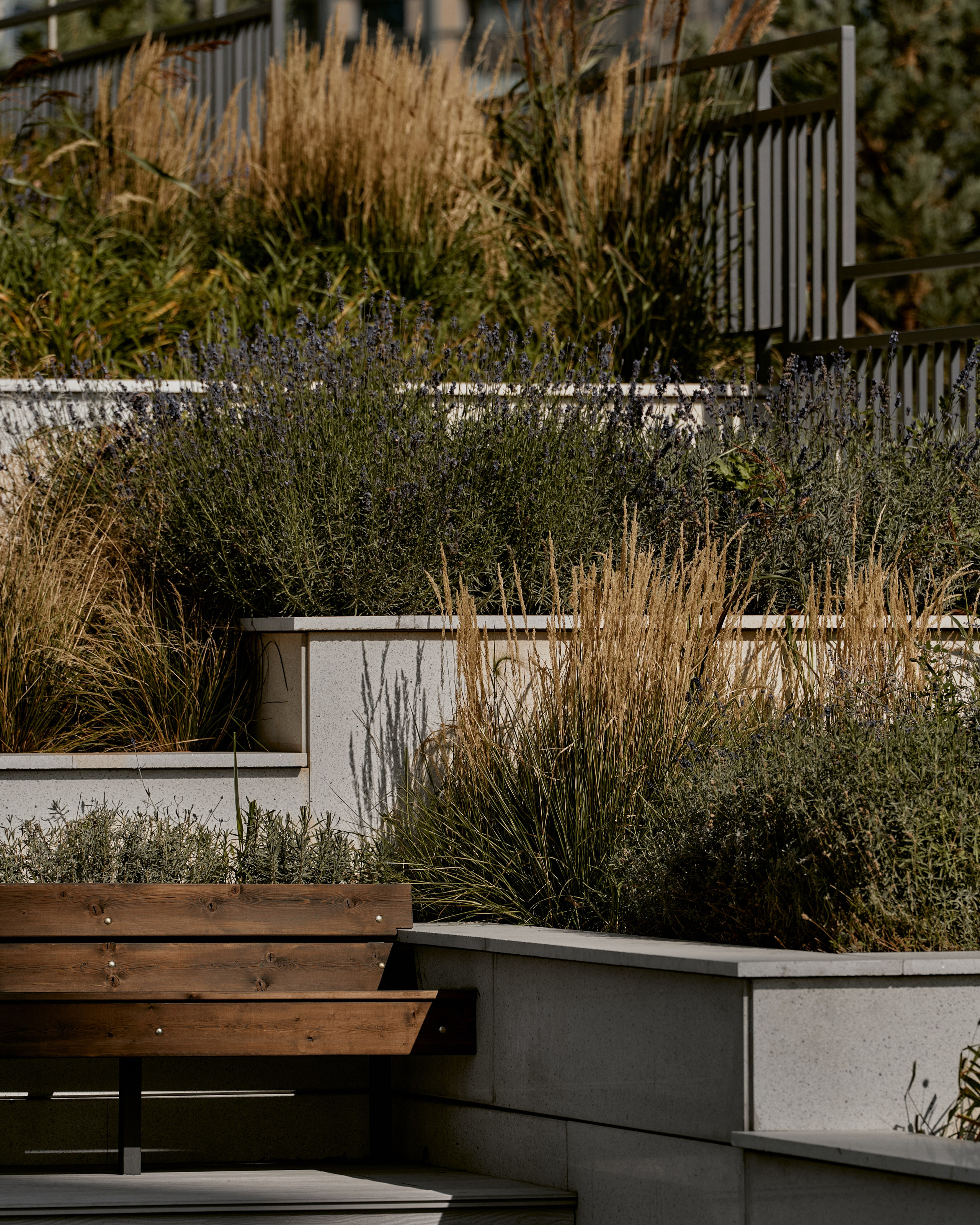 CORNUS. Фотограф Москва Сергей Громов