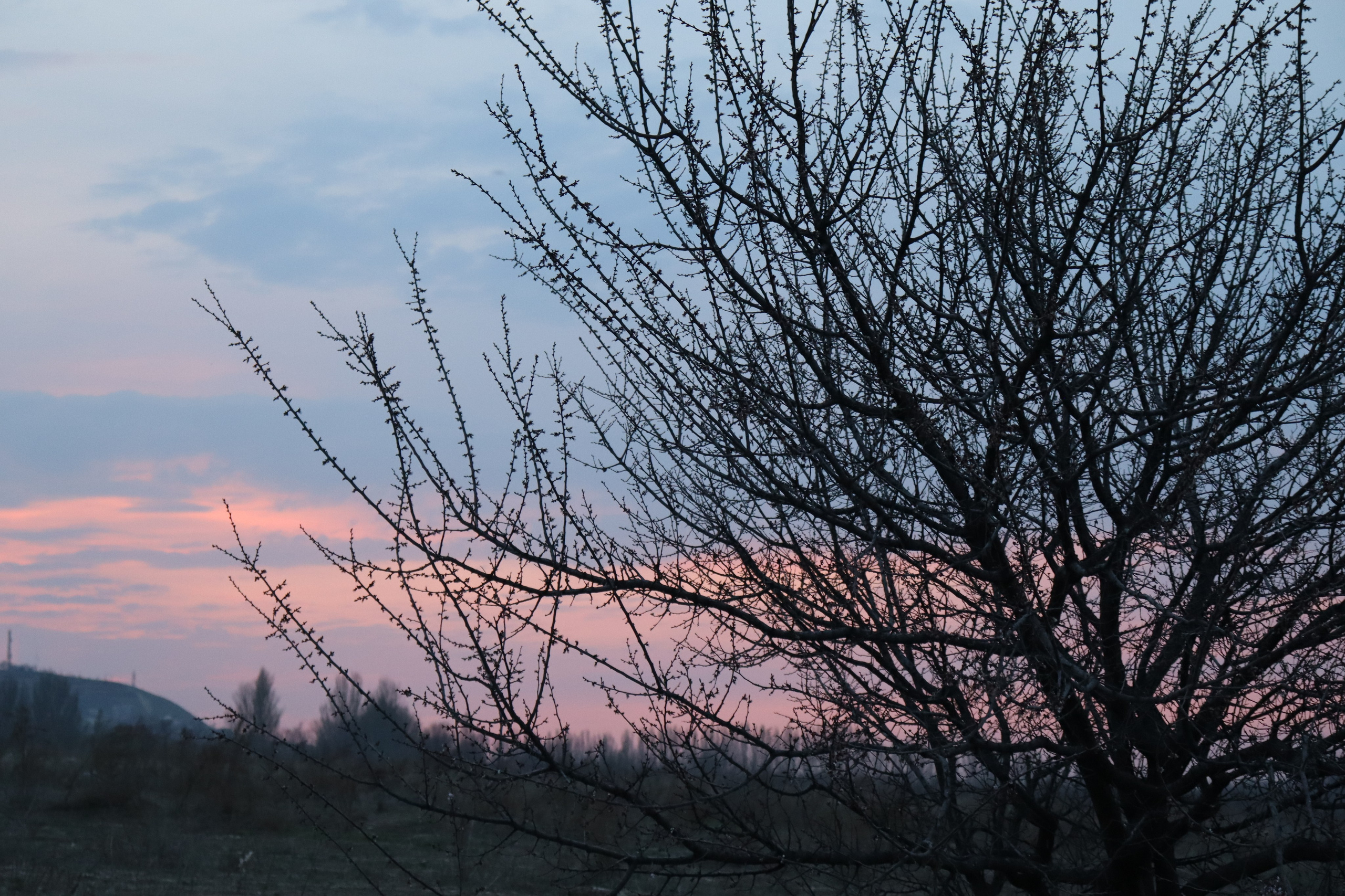 Muras-resort. Фотограф