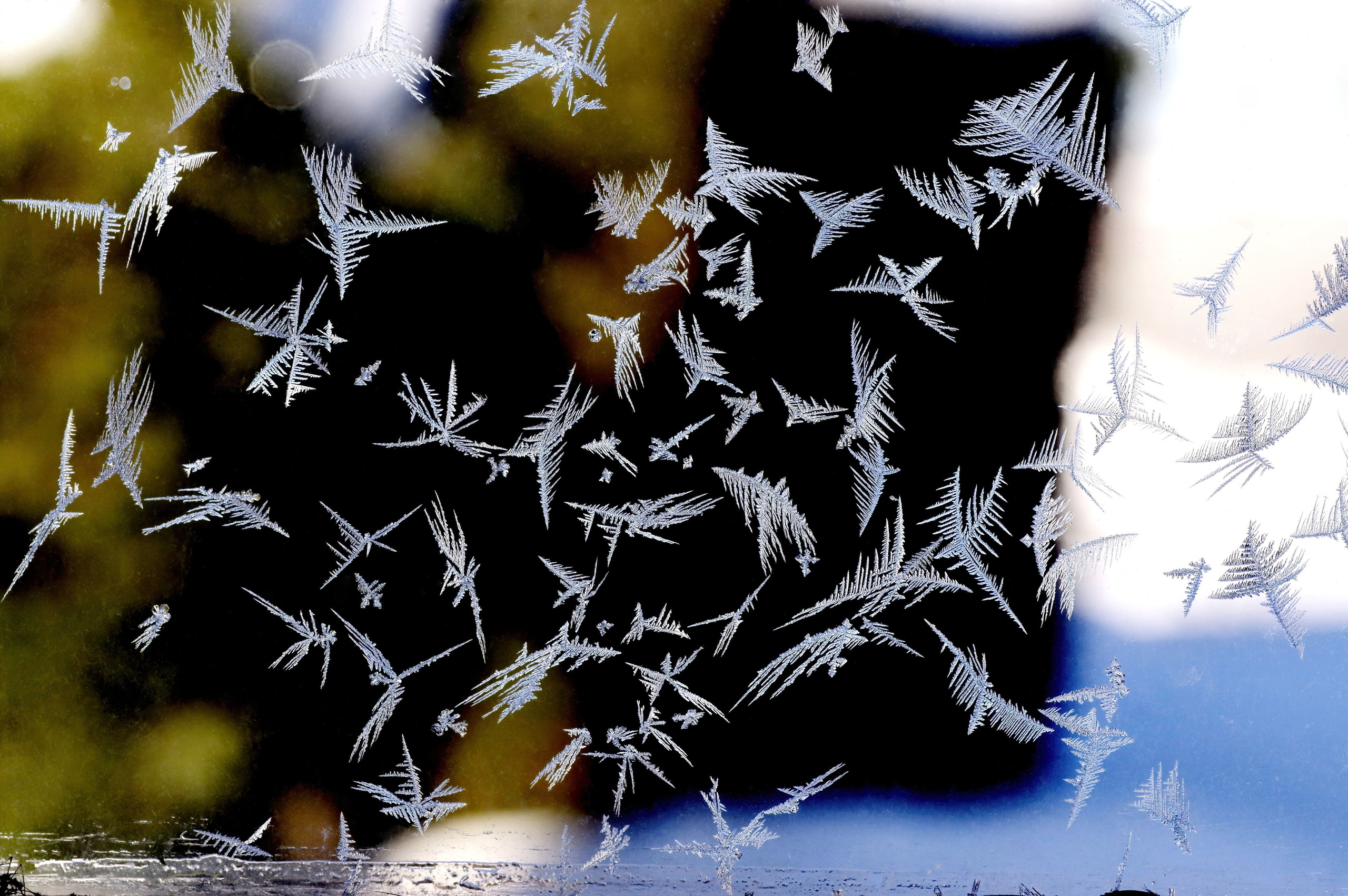 3. Вадим Шейдин