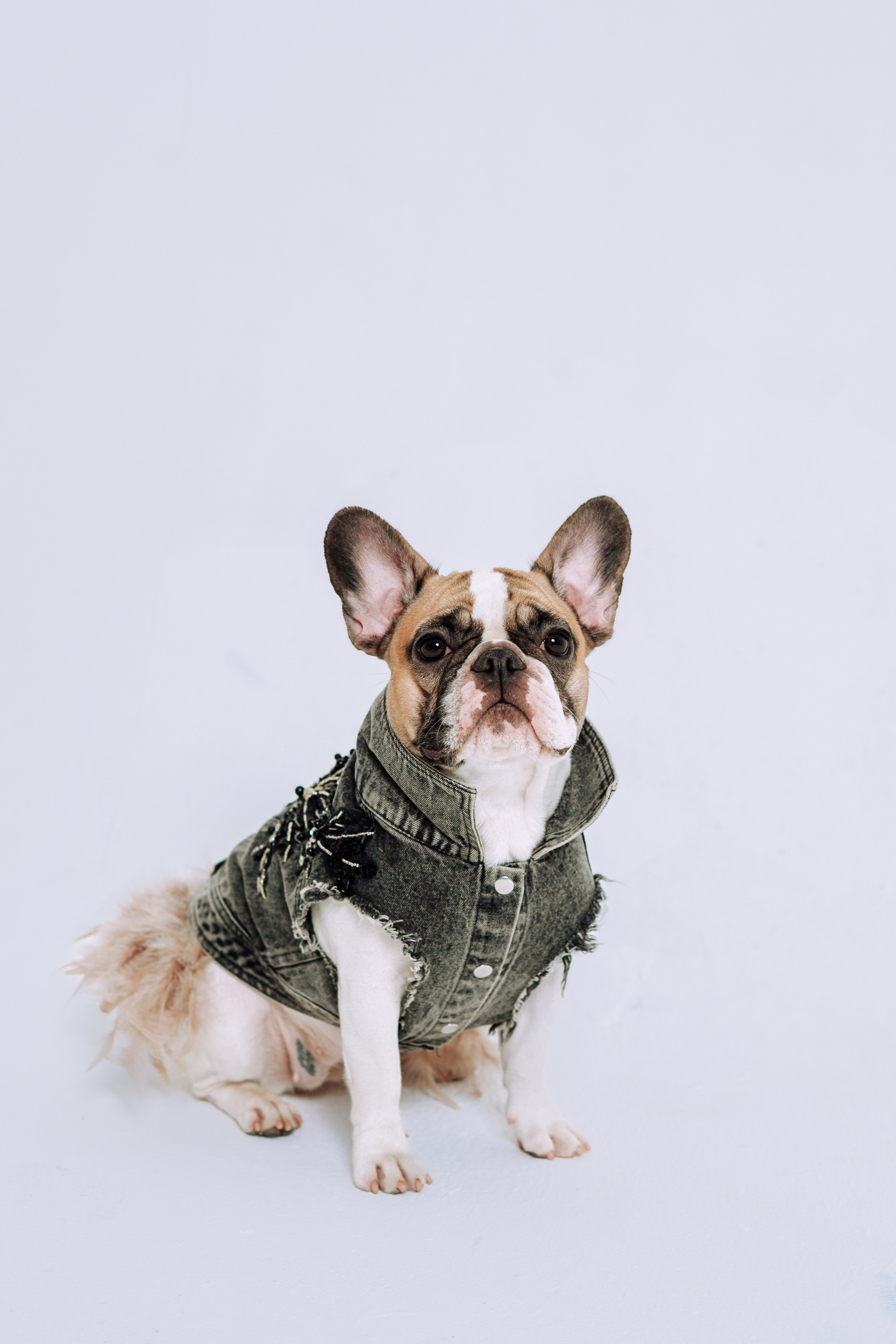 Бульвстреча 2025. Фотограф-анималист Татьяна Степанова