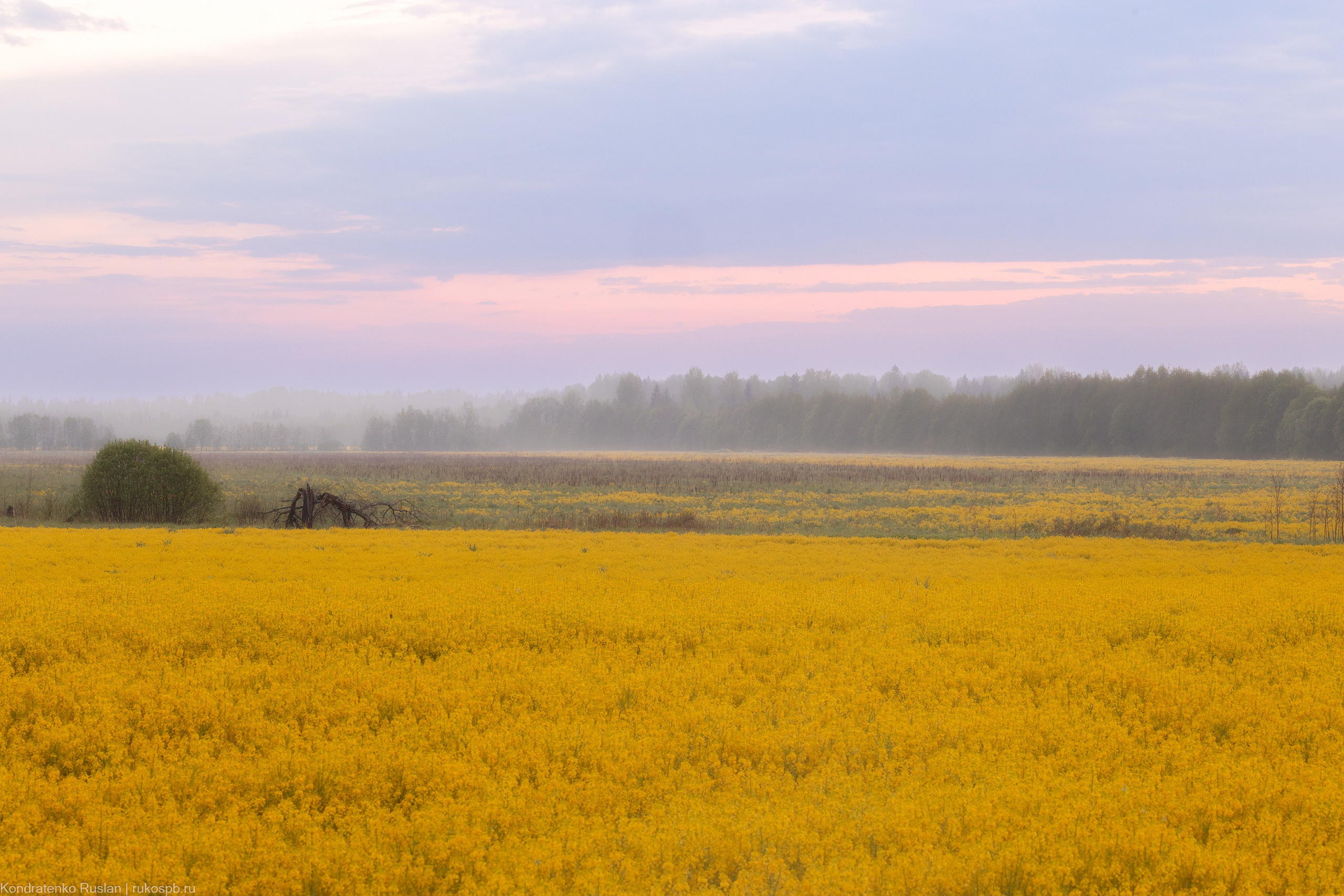 Ленинградская область. Архитектурный и пейзажный фотограф Кондратенко Руслан, Санкт-Петербург