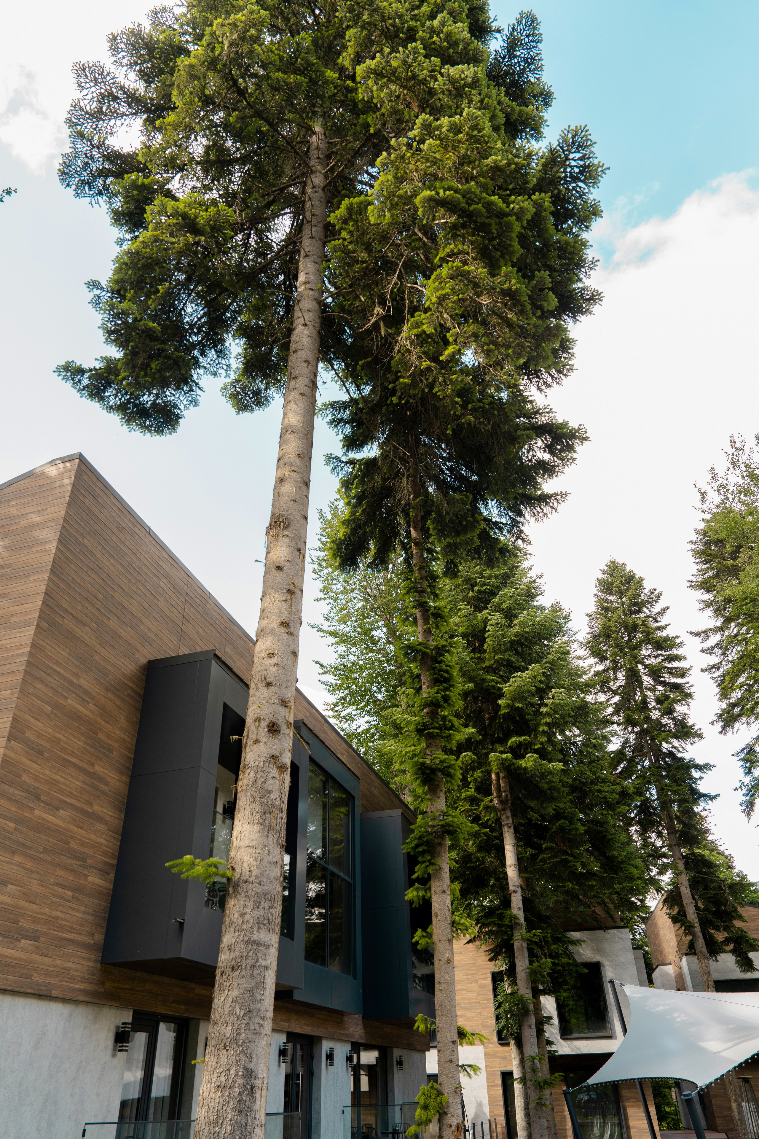 Горы Village. Фотограф и видеограф Елена Хмелевская