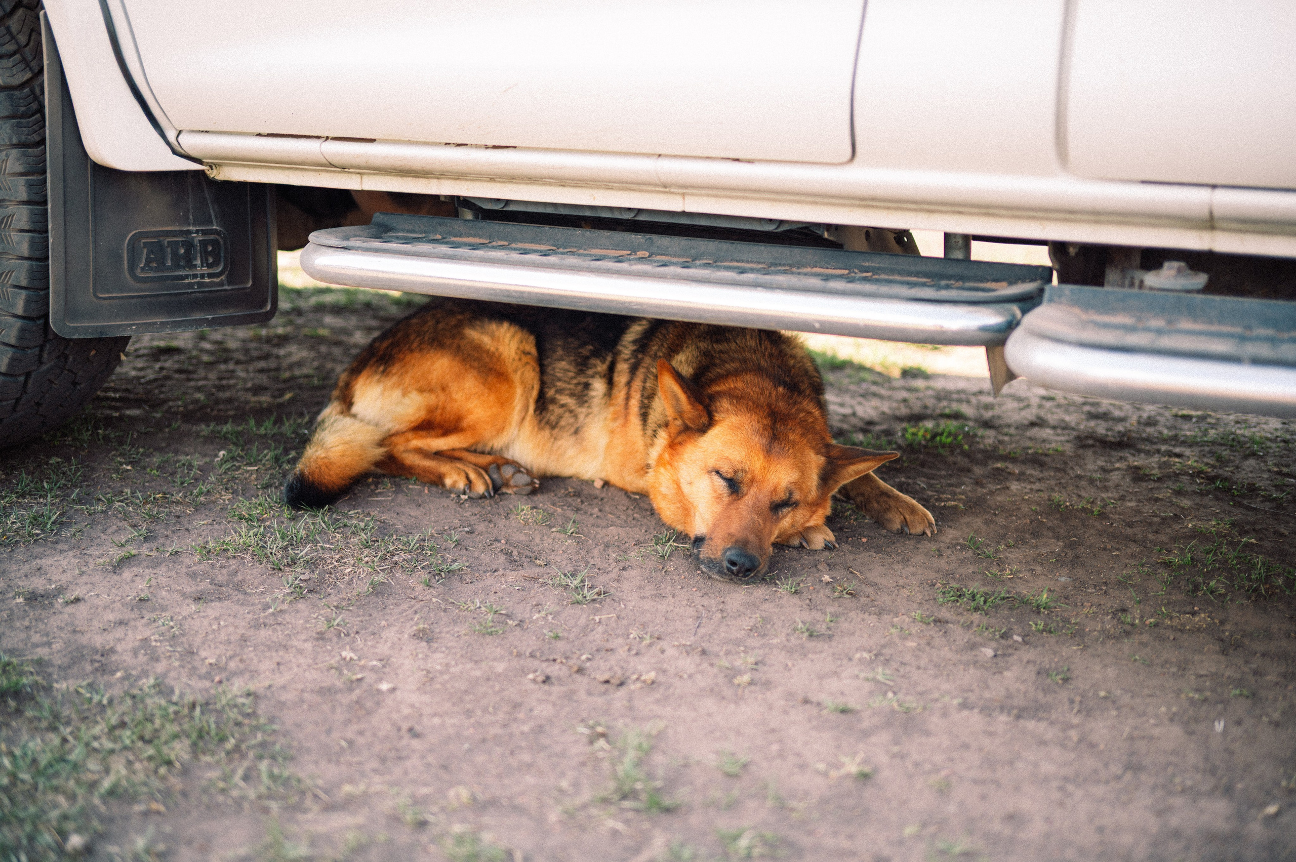 Плато Ассы: июль 2025. Фотограф в Алматы — Дарья Фёдорова