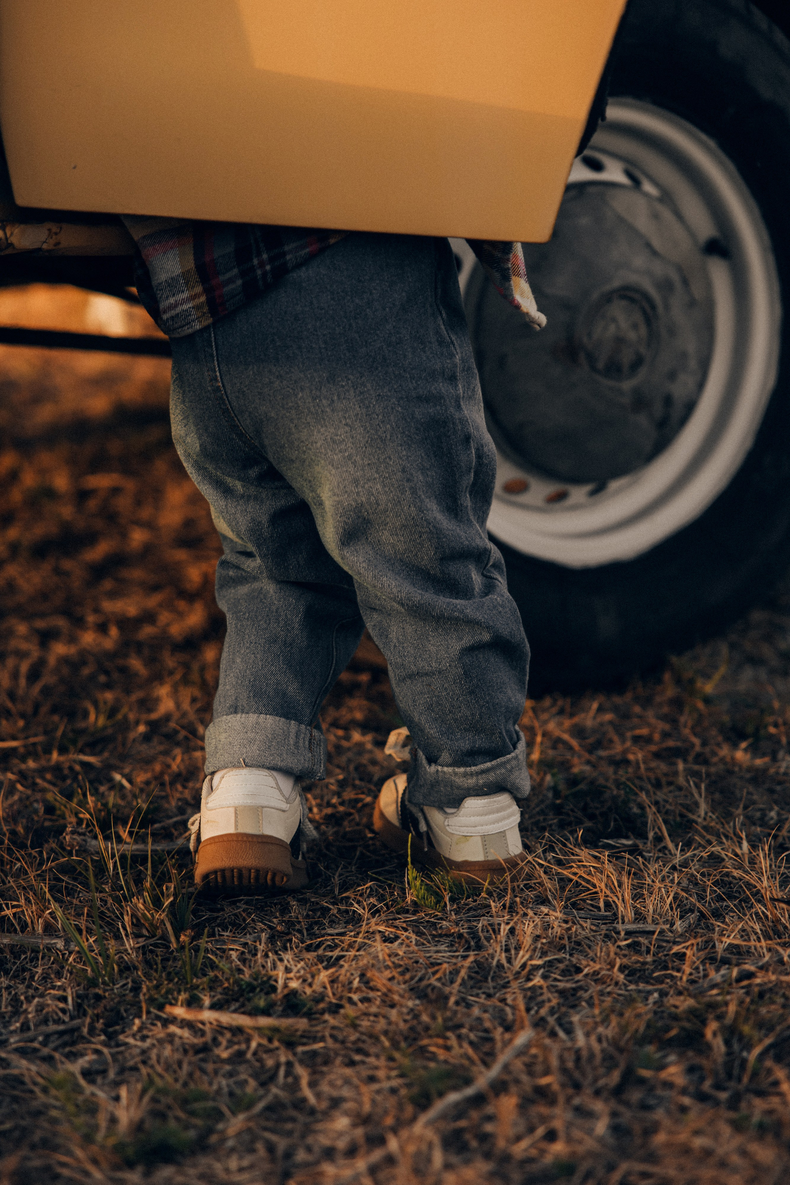 Семейная история