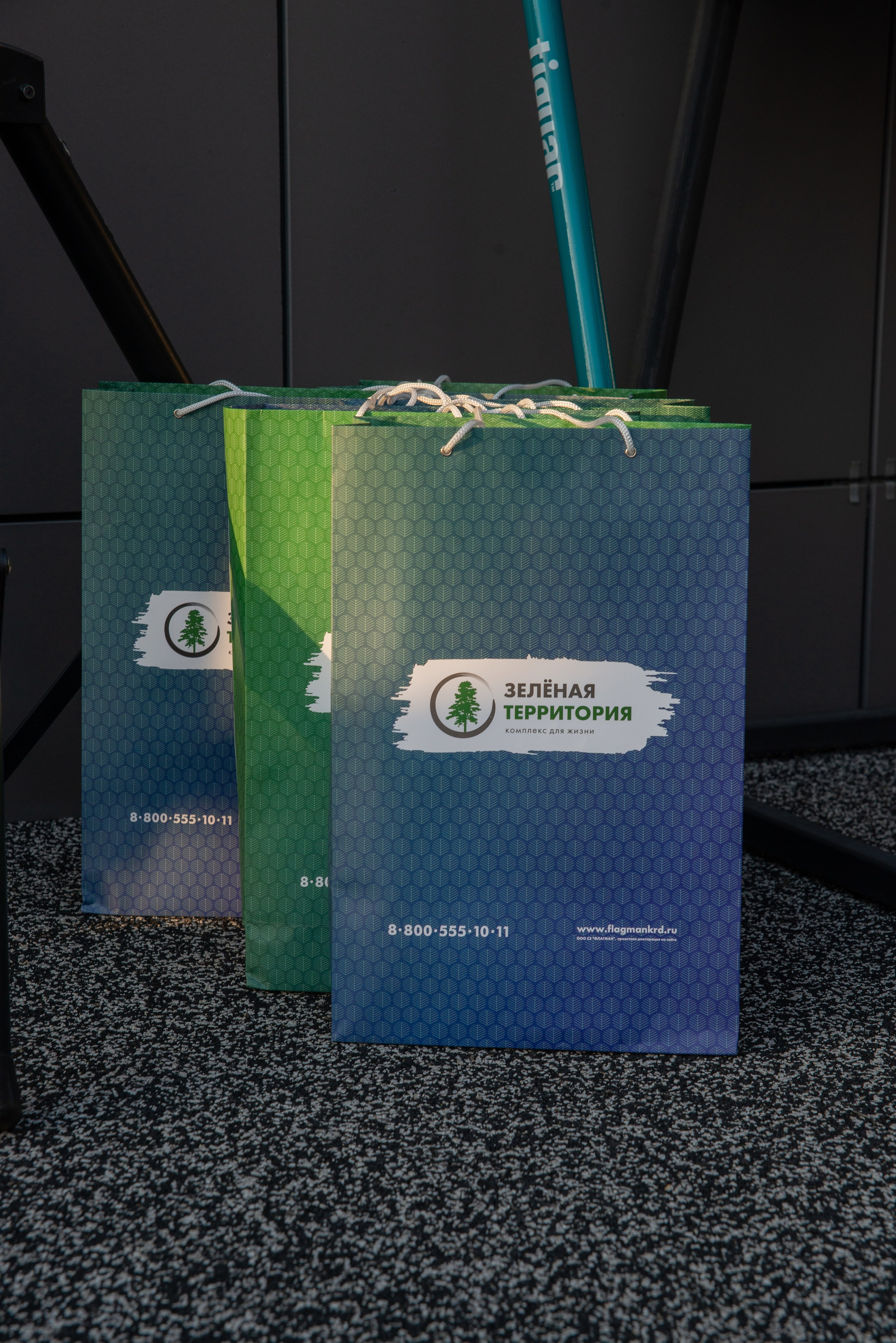 Джиматика 5 лет