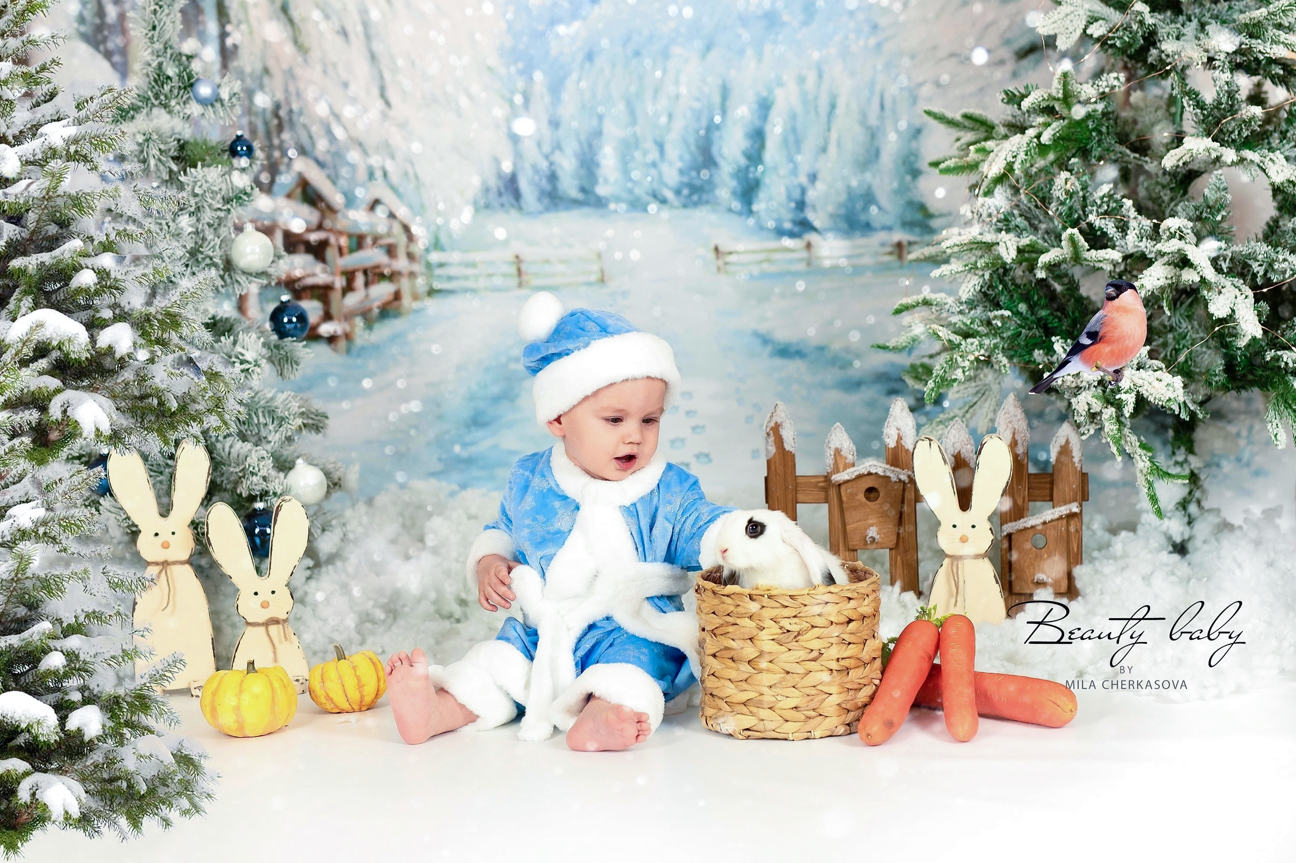 Зимняя Открытка. Семейный и детский фотограф в Красноярске Мила Черкасова