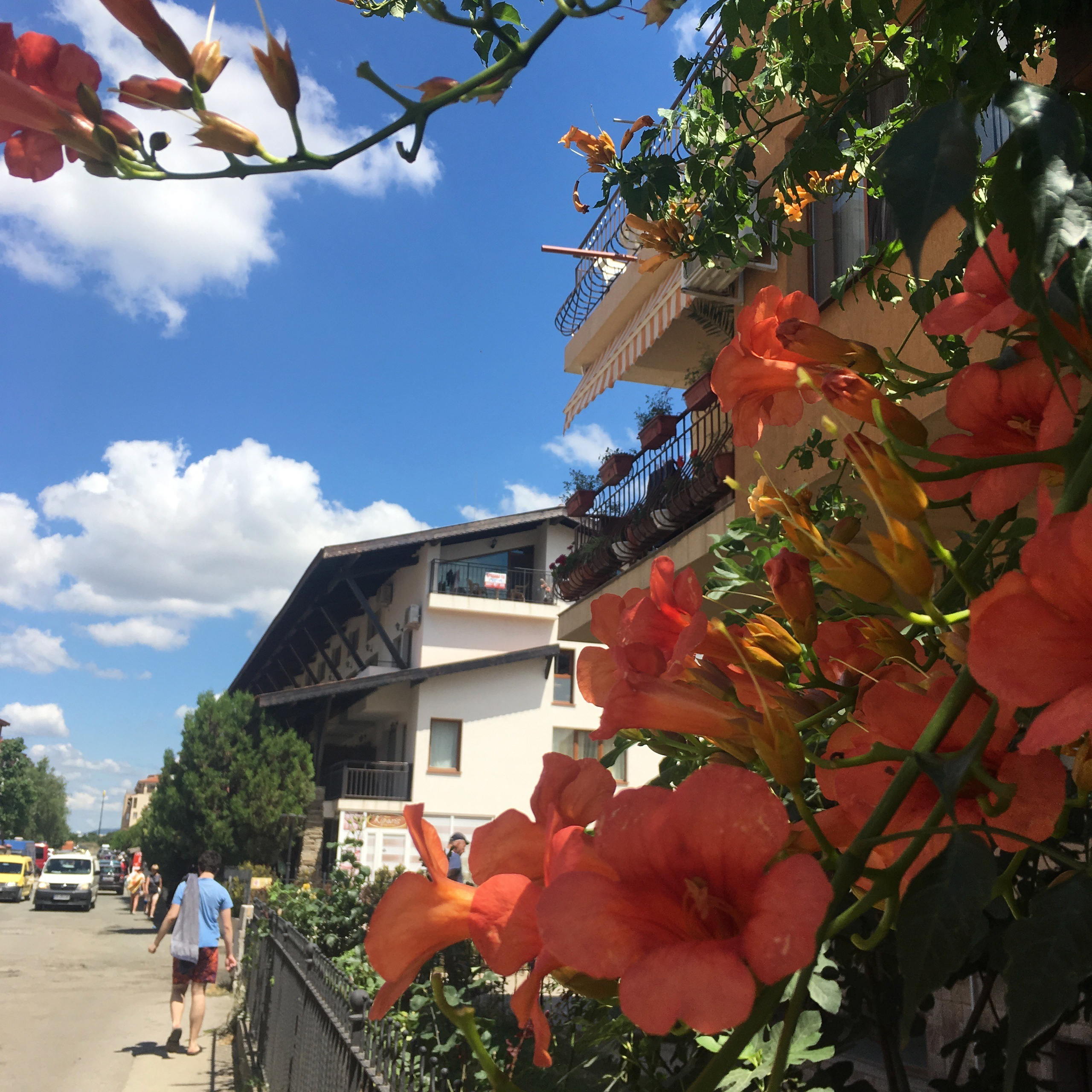 Болгария. Главная