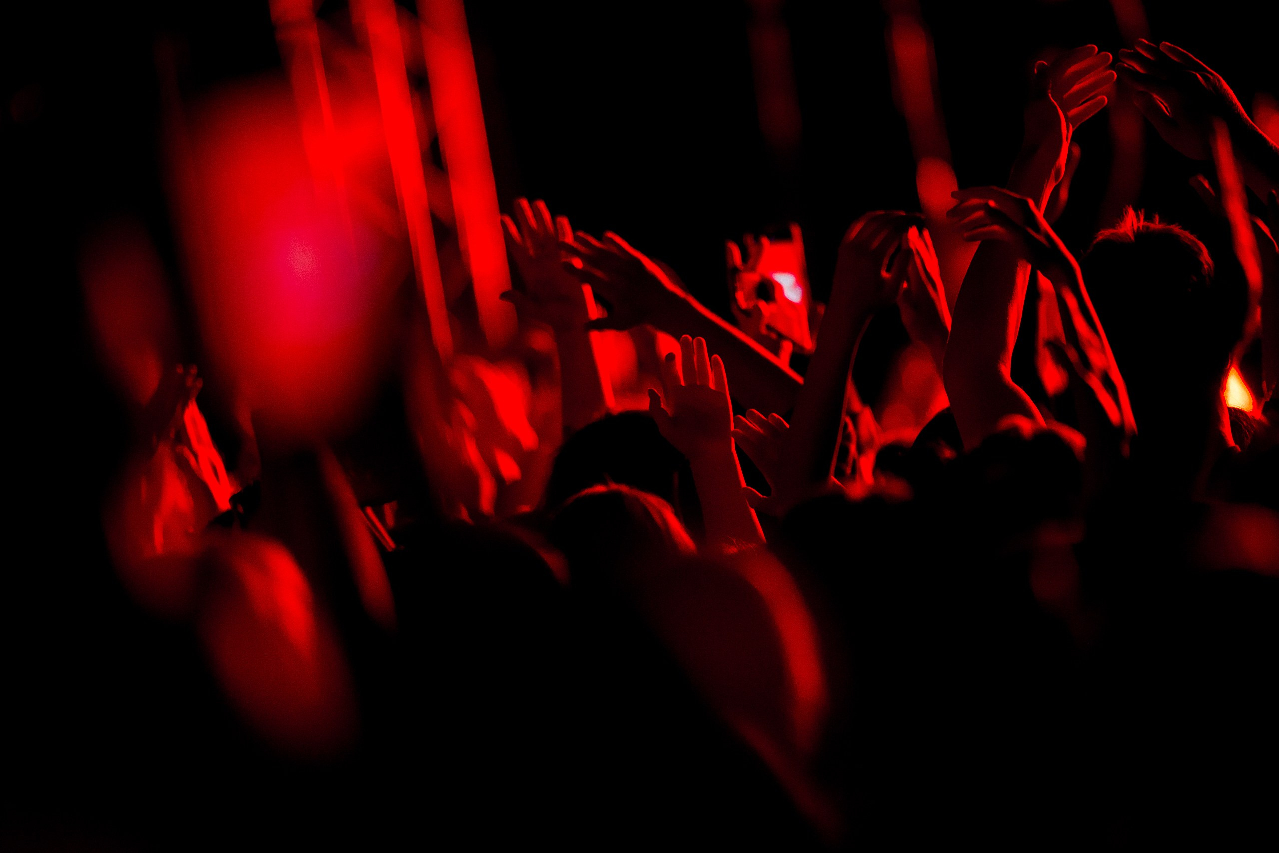 Звери 2025. Репортажный фотограф в Кемерово