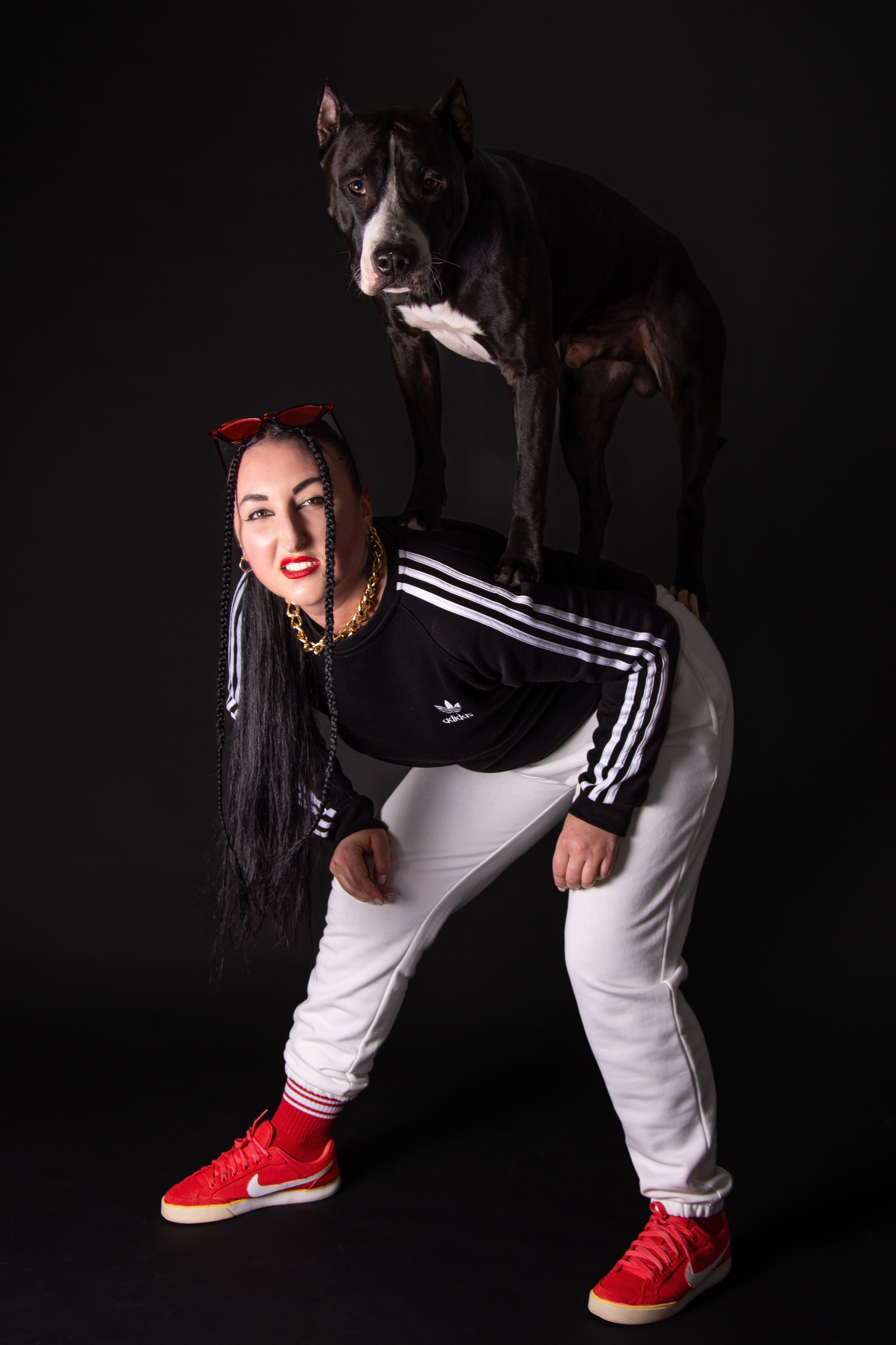 Студийная съёмка с собакой. Фотограф Макс Огурцов в Нижнем Новгороде