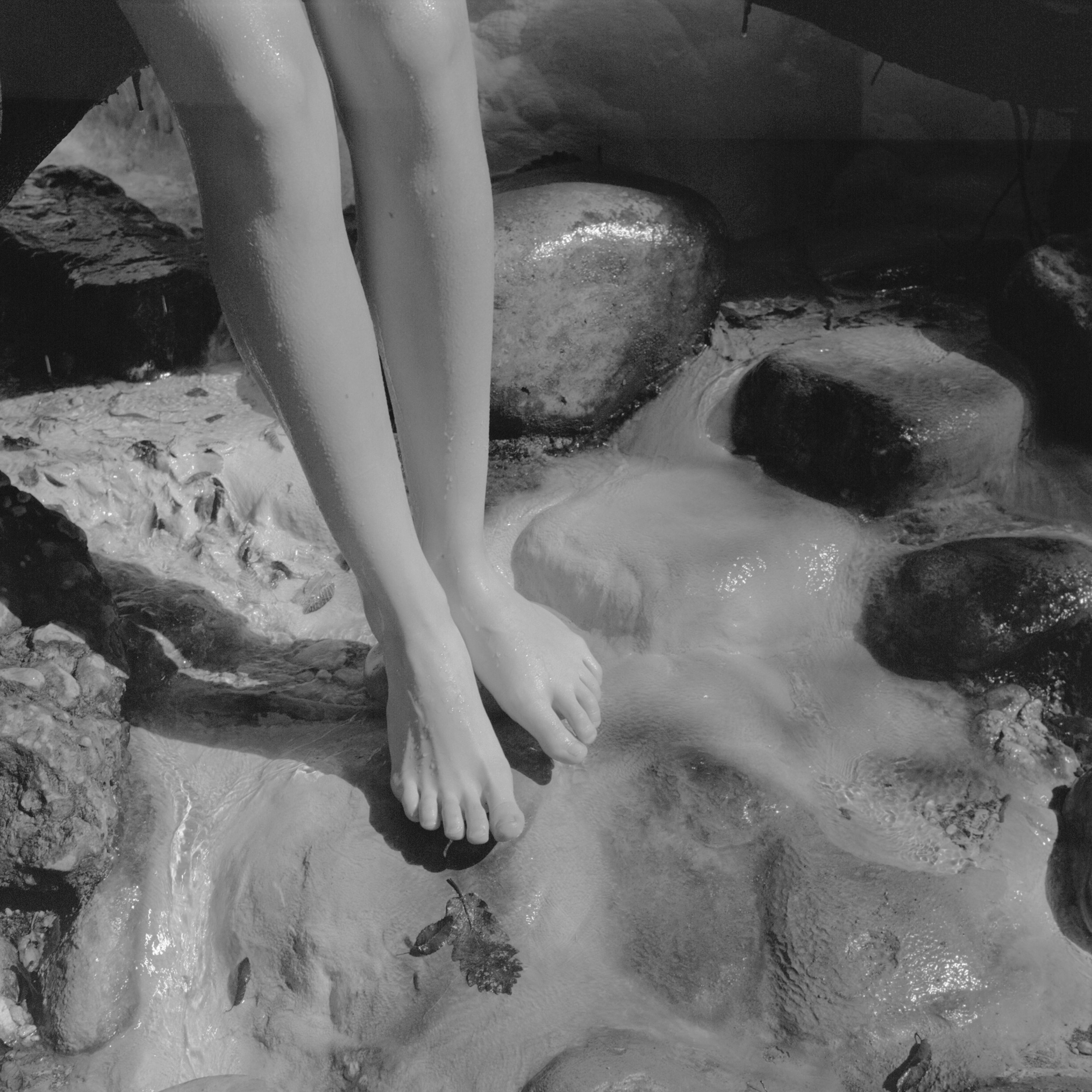 Юля Германович | Сад. Private image