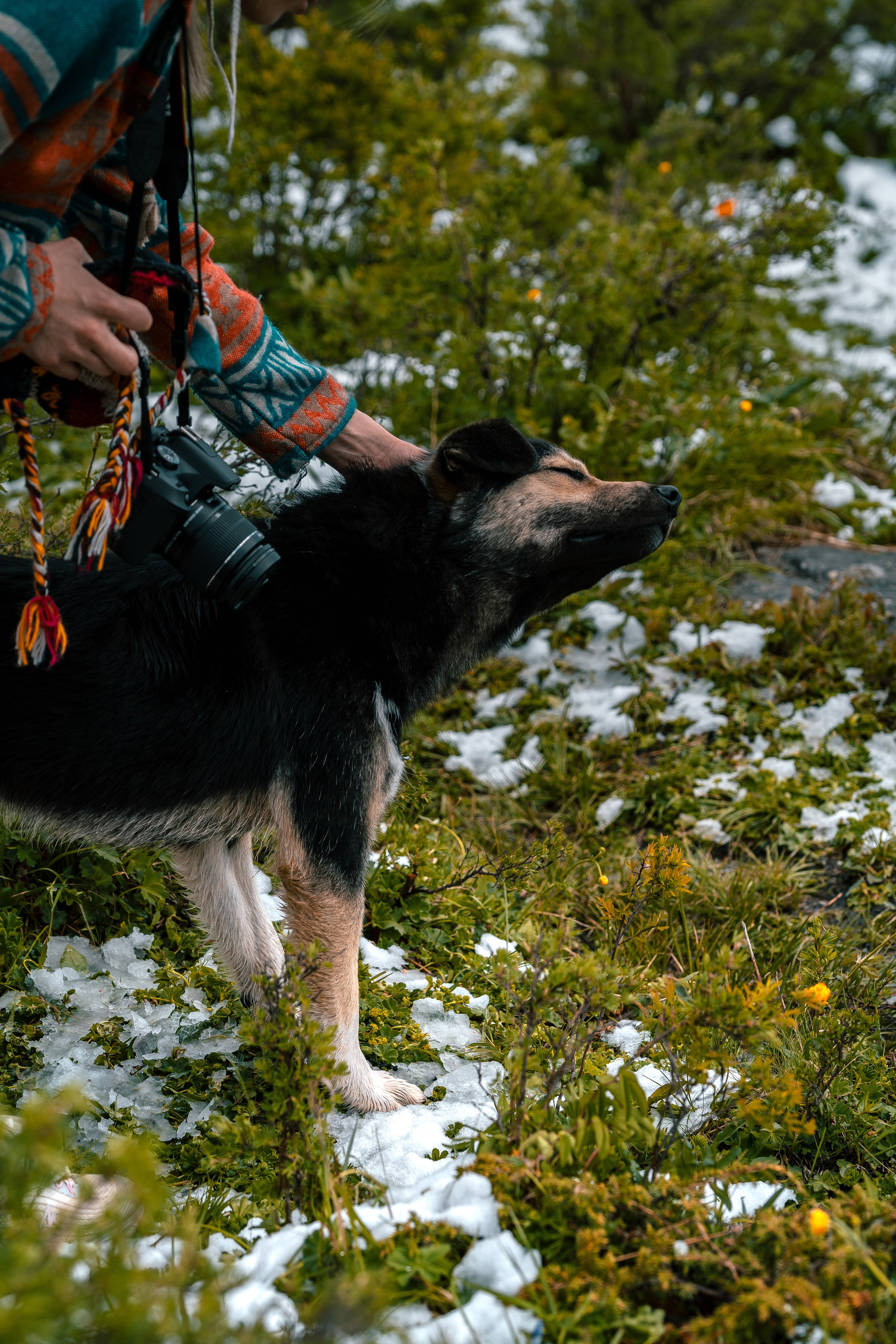 Алтай. Оператор и Фотограф в Санкт-Петербурге и Москве