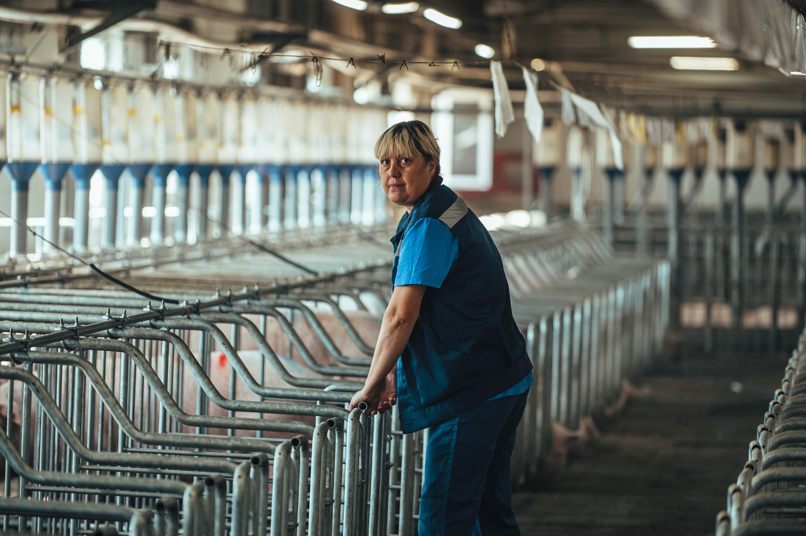 Свинокомплекс «СИБАГРО». Свадебная и концептуальная фотография в городе Улан-Удэ