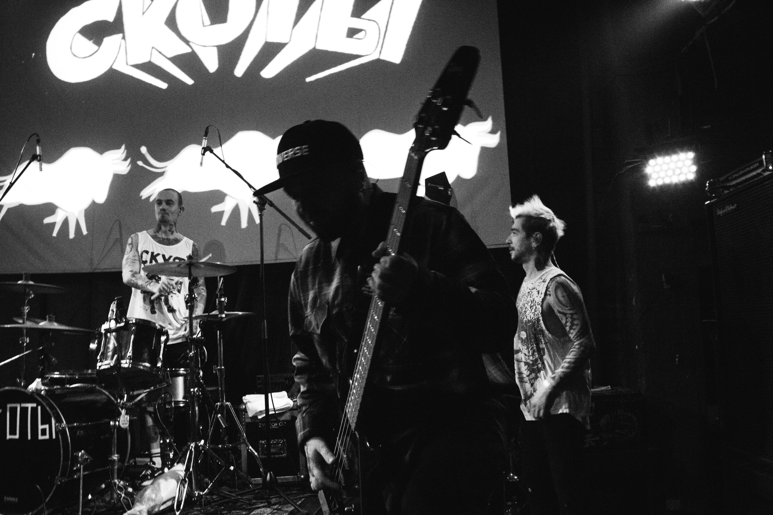 СКОТЫ | 11.12.2024 | ЛАСТОЧКА. VLADIS PISKUNOV | Концертные Фото |Репортажи