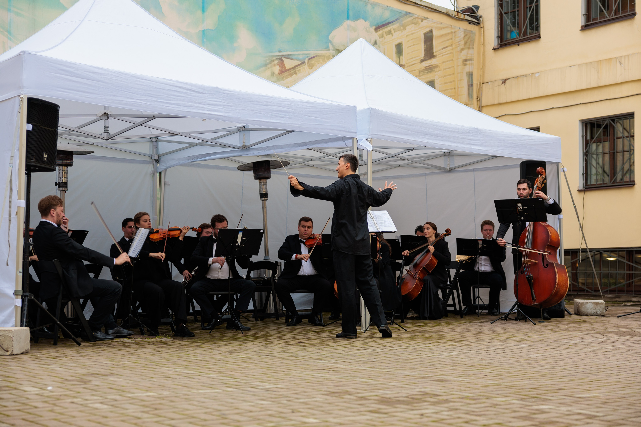 Концерт малого симфонического оркестра. Репортажный фотограф Санкт-Петербург | Роман Карбышев
