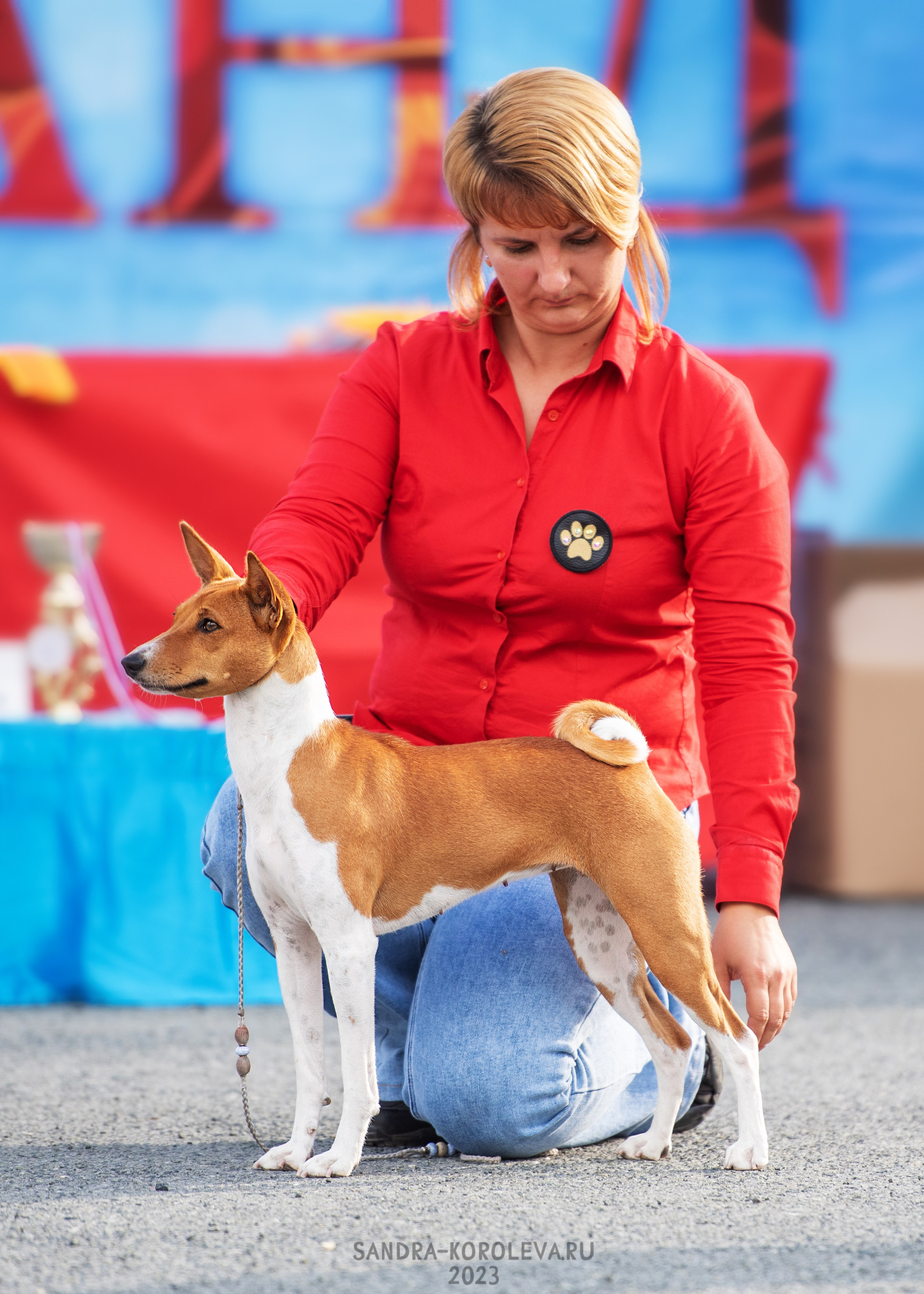 Выставка собак Тюмень 02.09.2023. Дог-фотограф в Тюмени Александра Королева