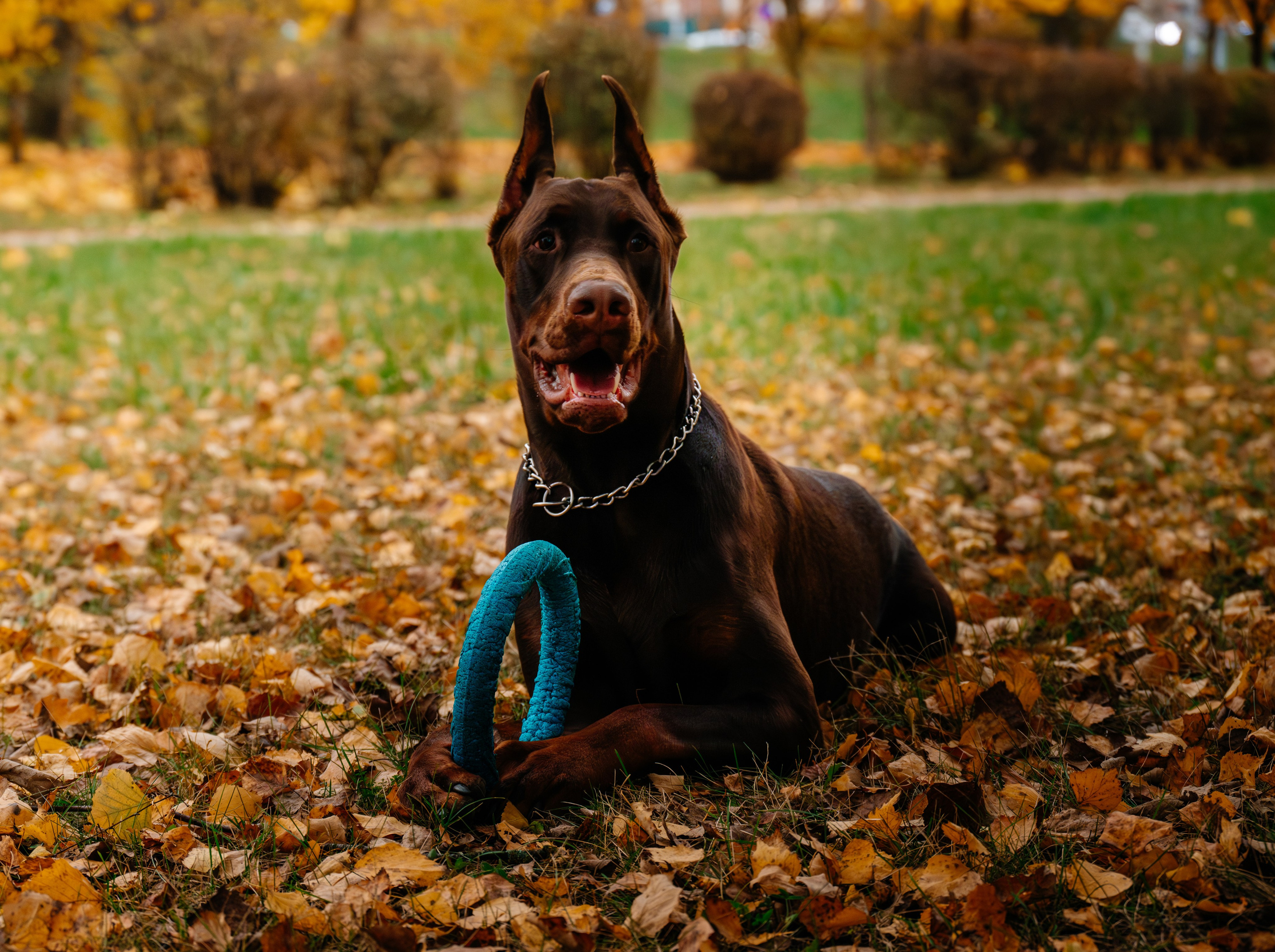 Семья Стенцель. Юлия Чайко, фотограф в Минске