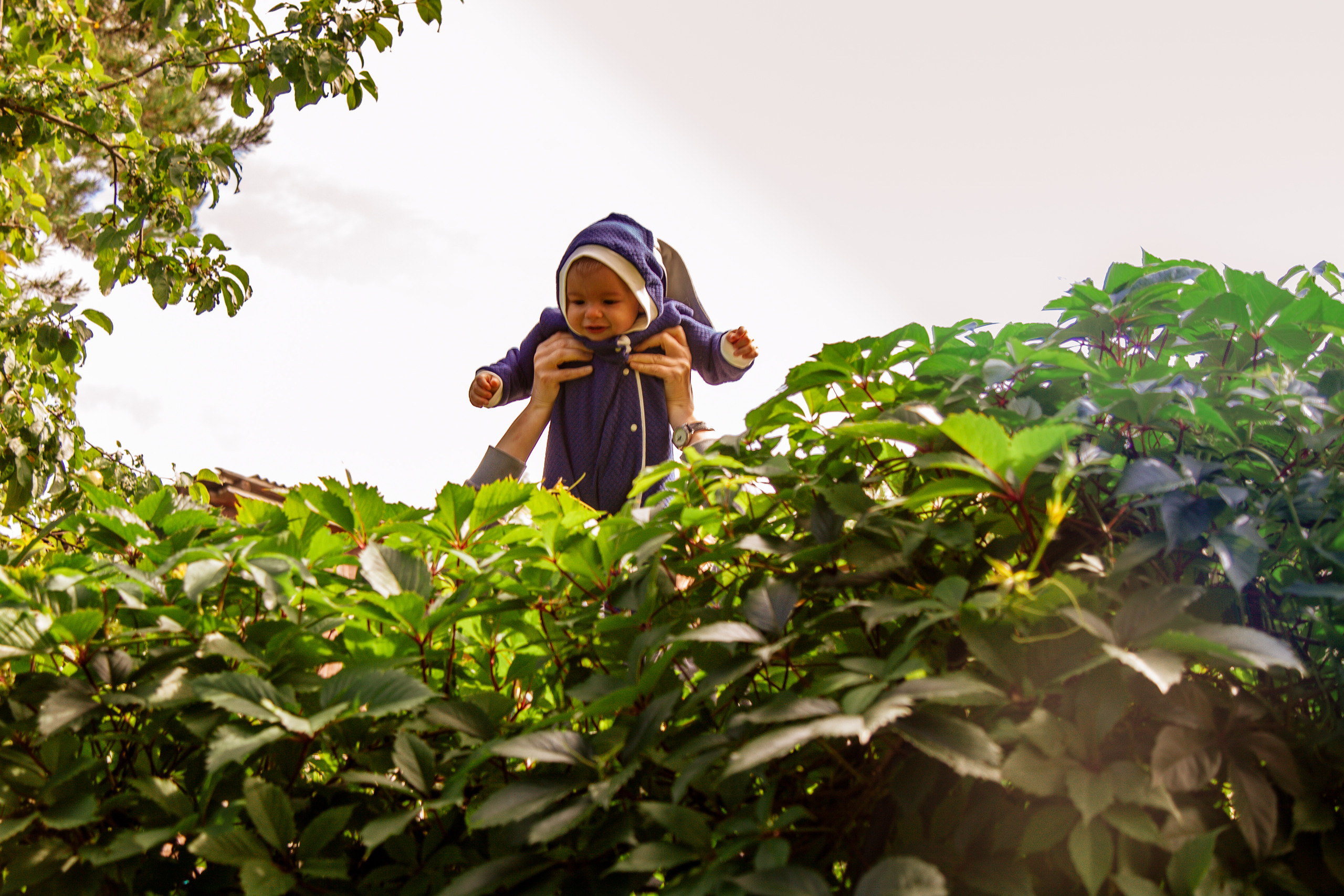 Маленький дачник. Фотограф Анастасия Аветян. Санкт-Петербург