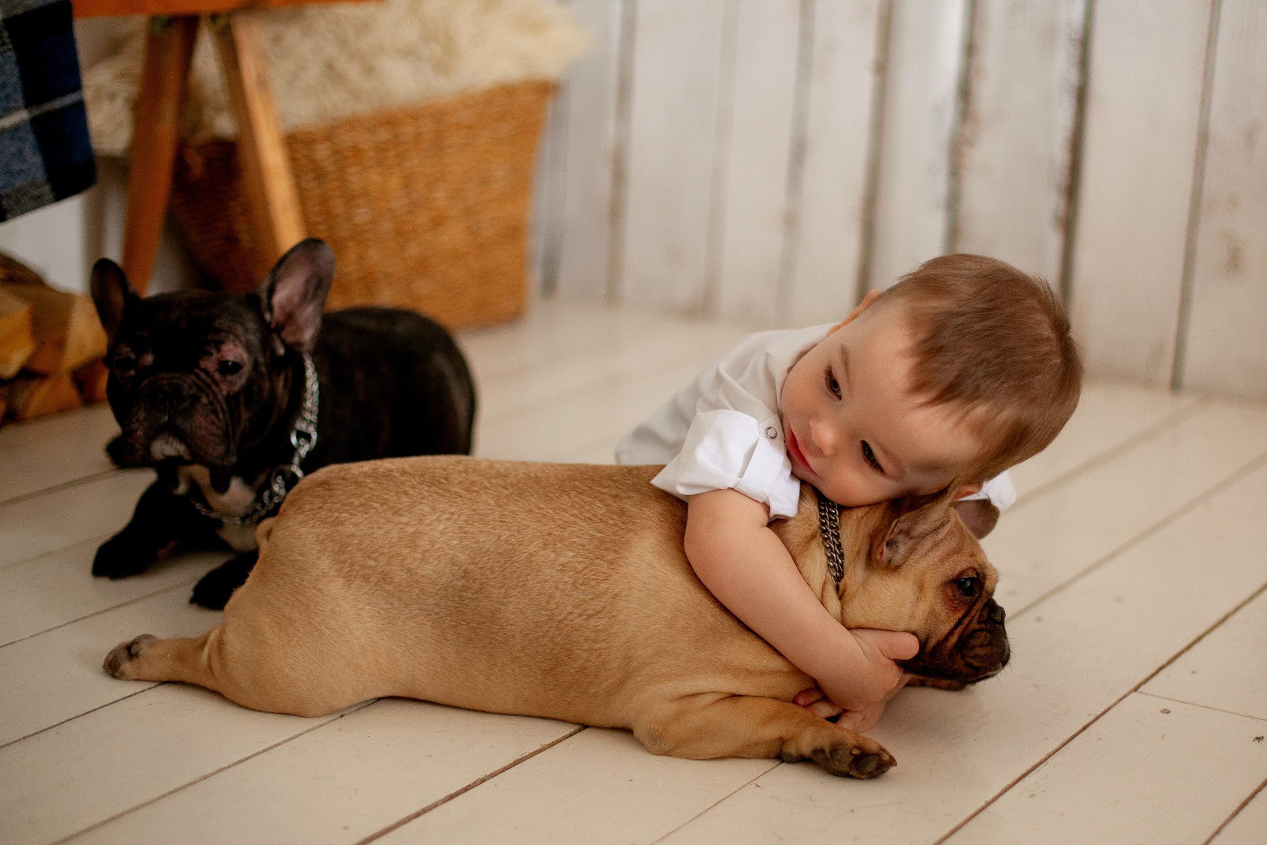 На чердаке. Фотограф Анастасия Аветян. Санкт-Петербург