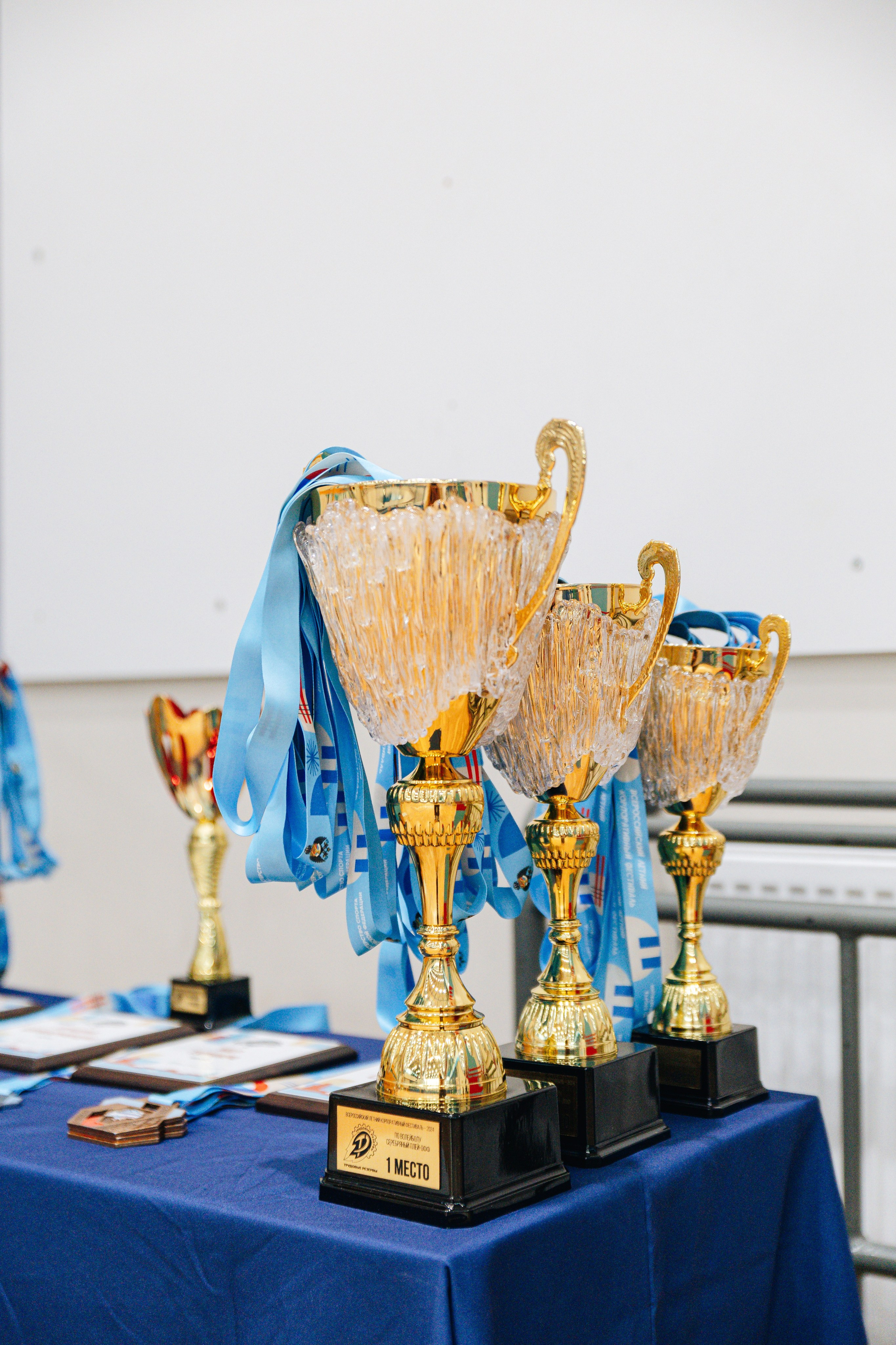 ВЛКФ 7-8.06.2024. KRIS KRUPINNIKOVA