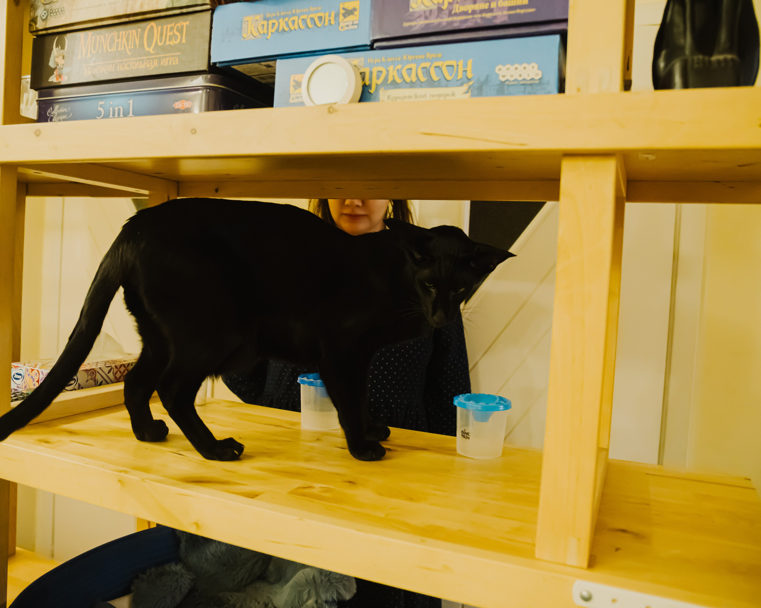 Гилдин. Портретный фотограф Ванинен Анастасия. Санкт-Петербург