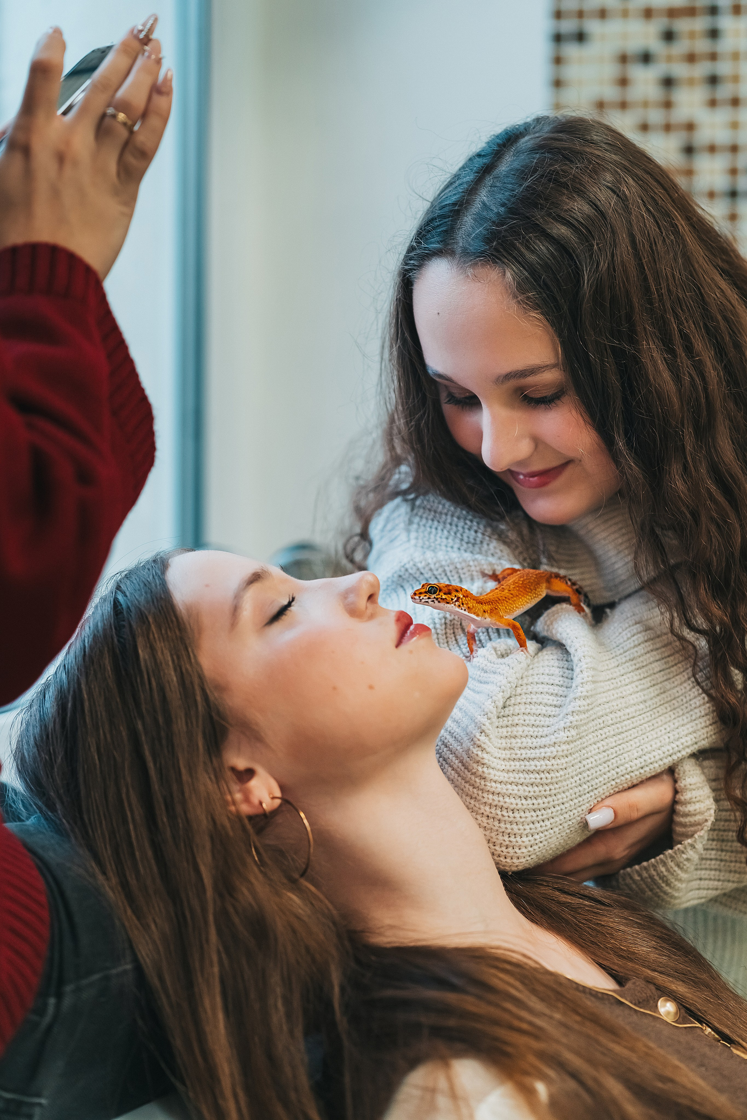 9 класс. Школьные альбомы и альбомы для детского сада. Юлия Осипова. Москва