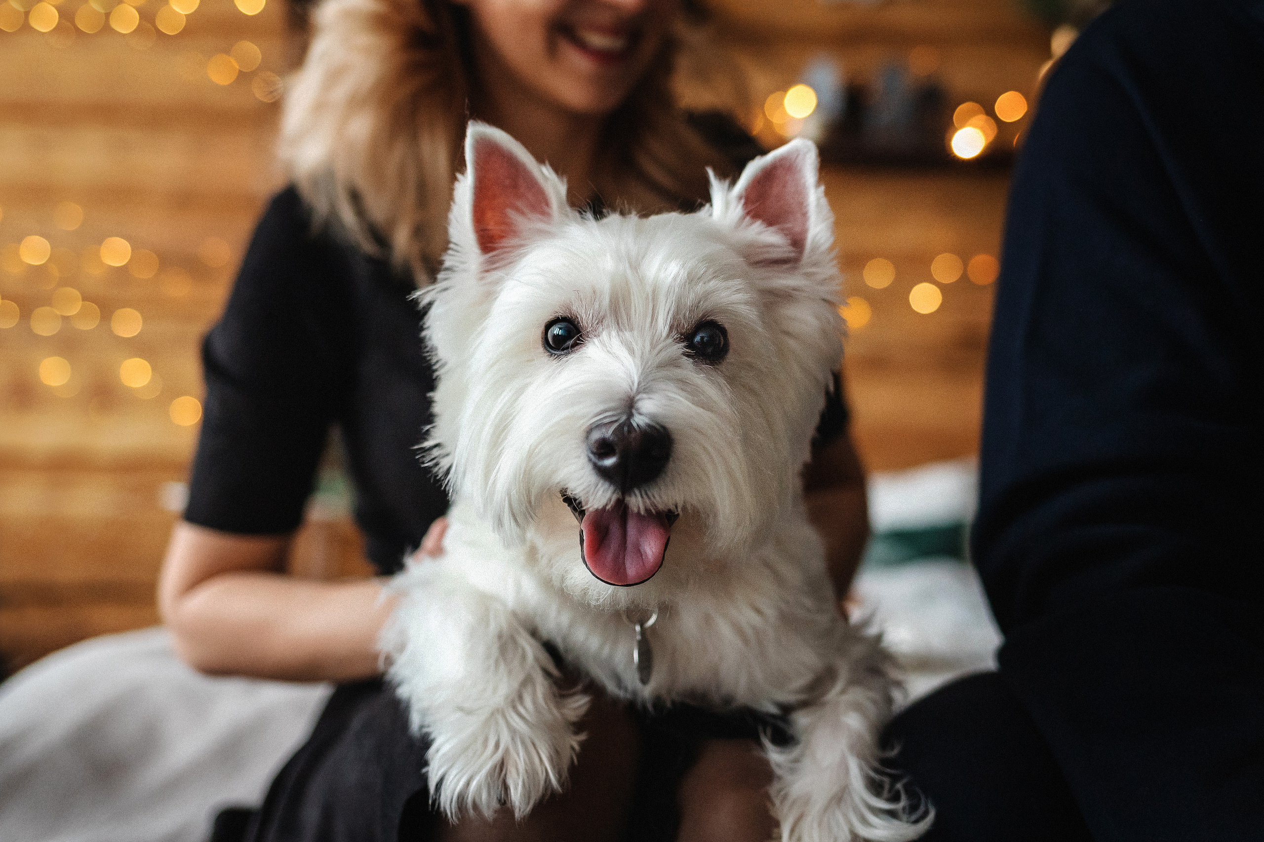 Фотосессия с Семеном и Винни