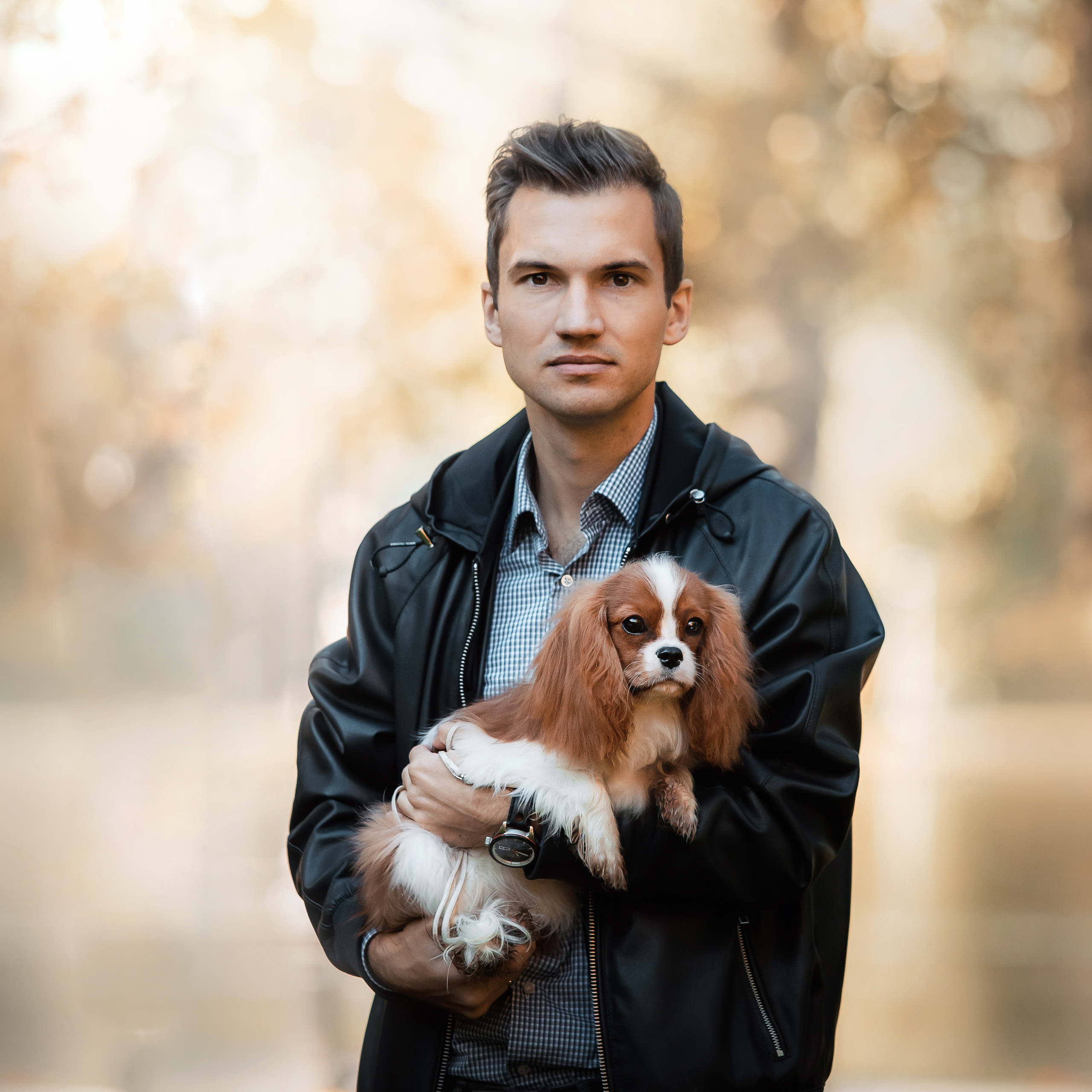 Фотосессия кавалер-кинг-чарльз-спаниелями