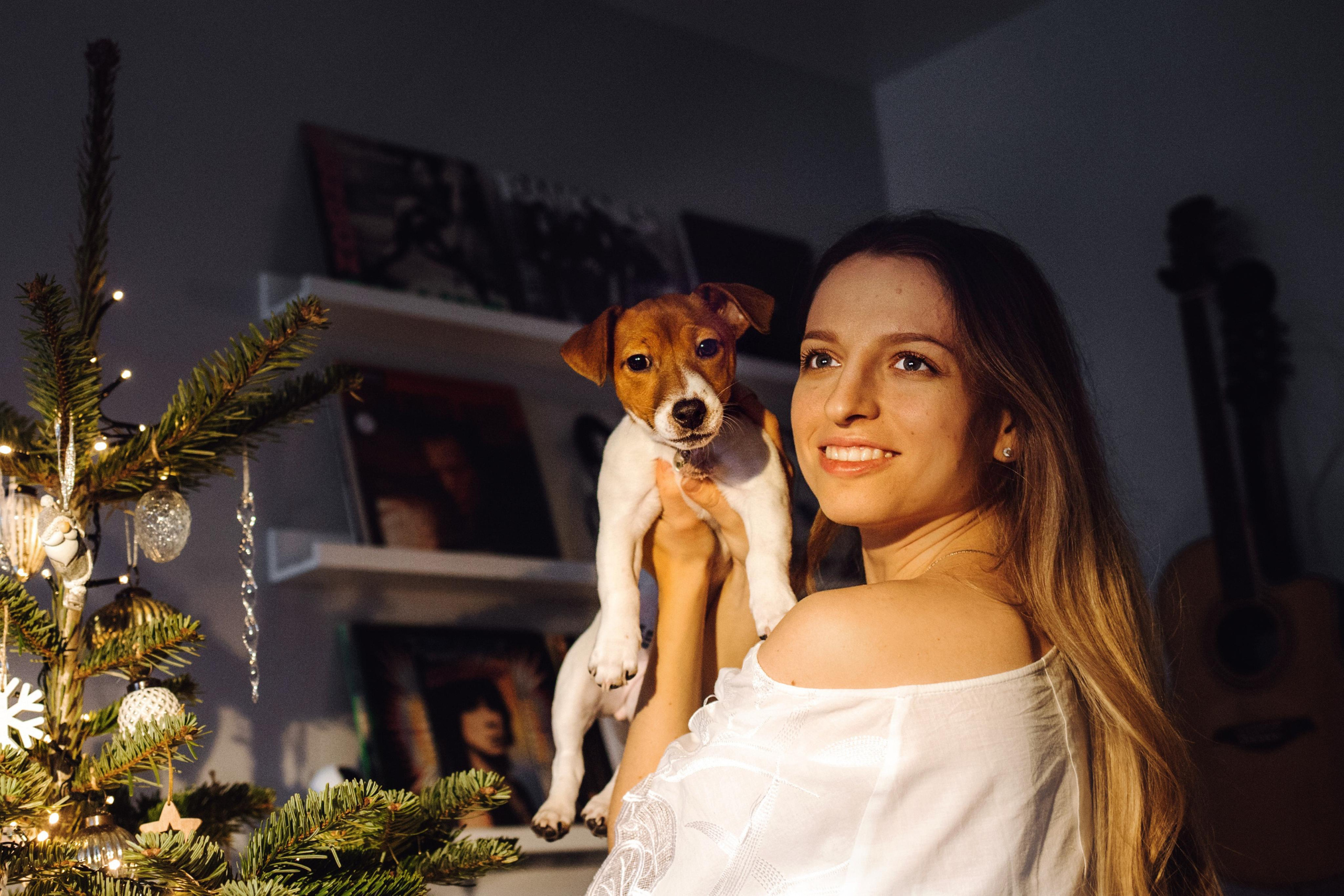 Новогодняя домашняя фотосессия с собакой